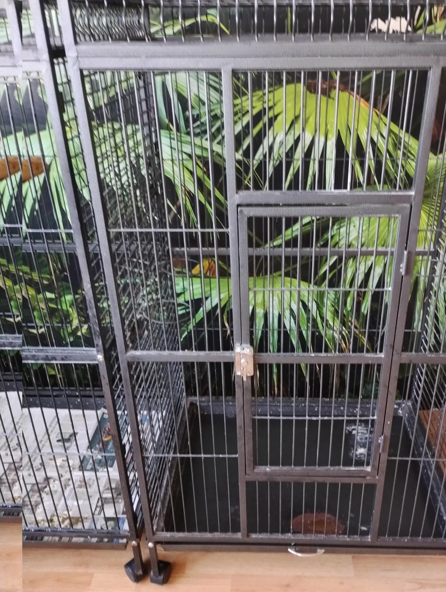 Klec pro papoušky