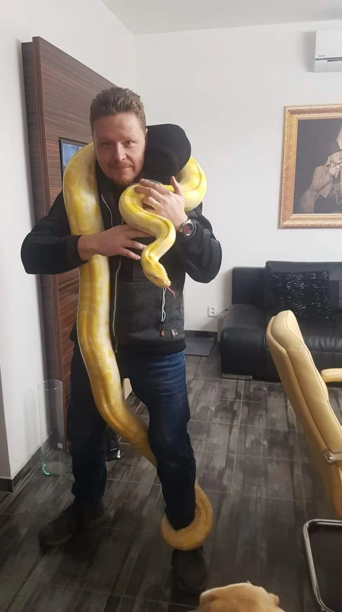 Krajta tmava albin 9let, 3,5m, 30kg