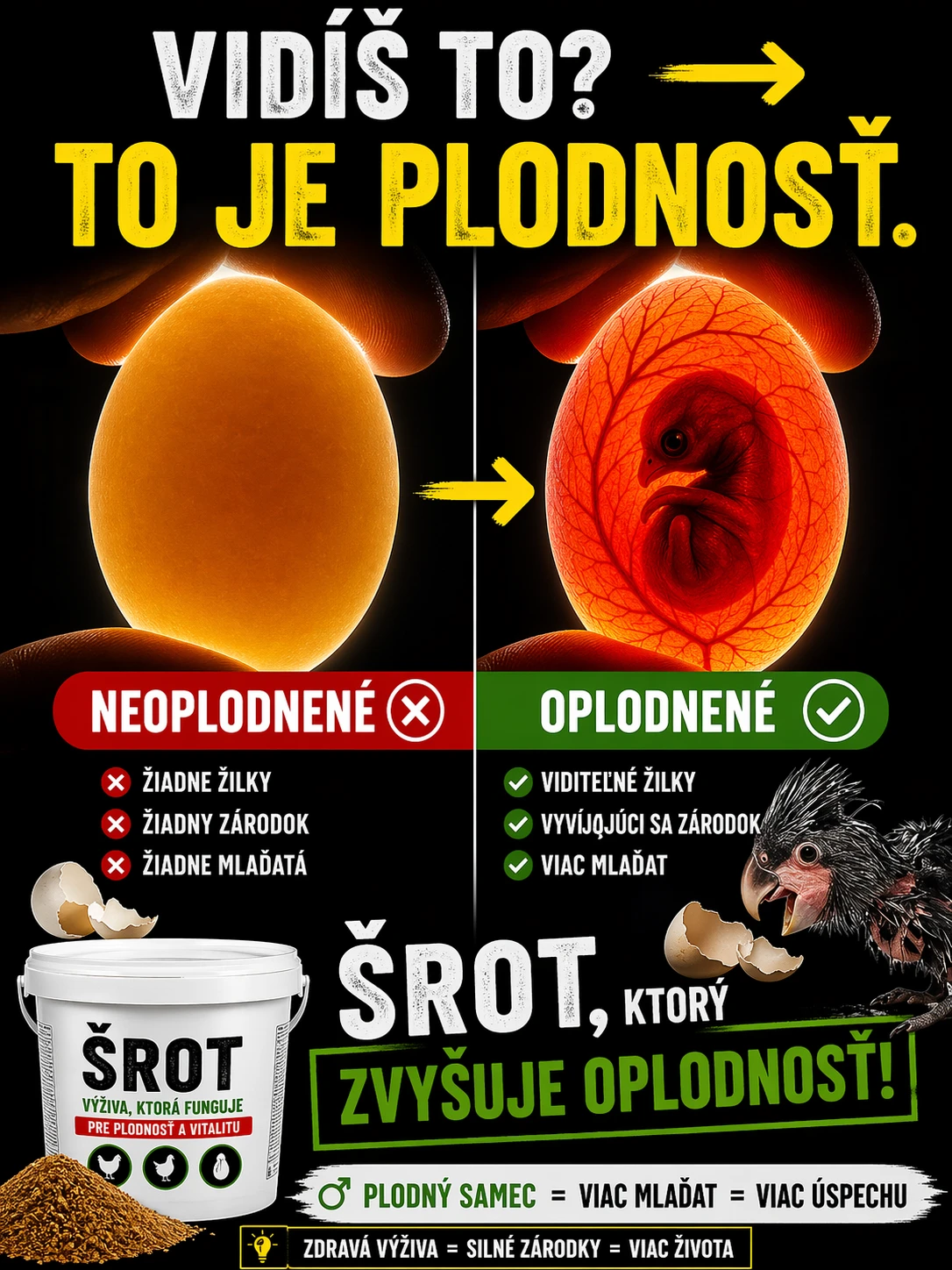 90% oplodněnost vajec u papoušků a exotického ptactva
