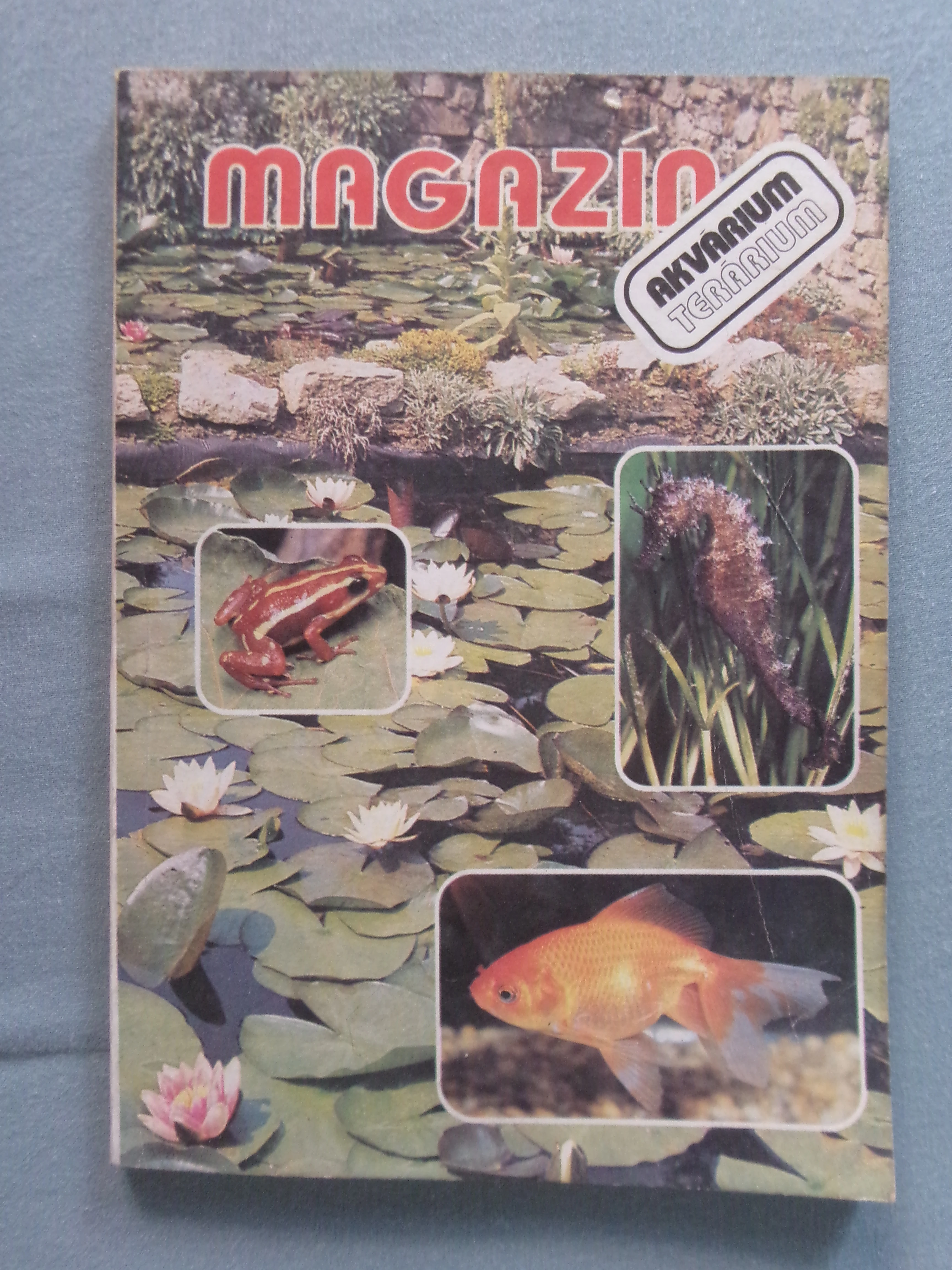 Magazín Akvárium terárium.