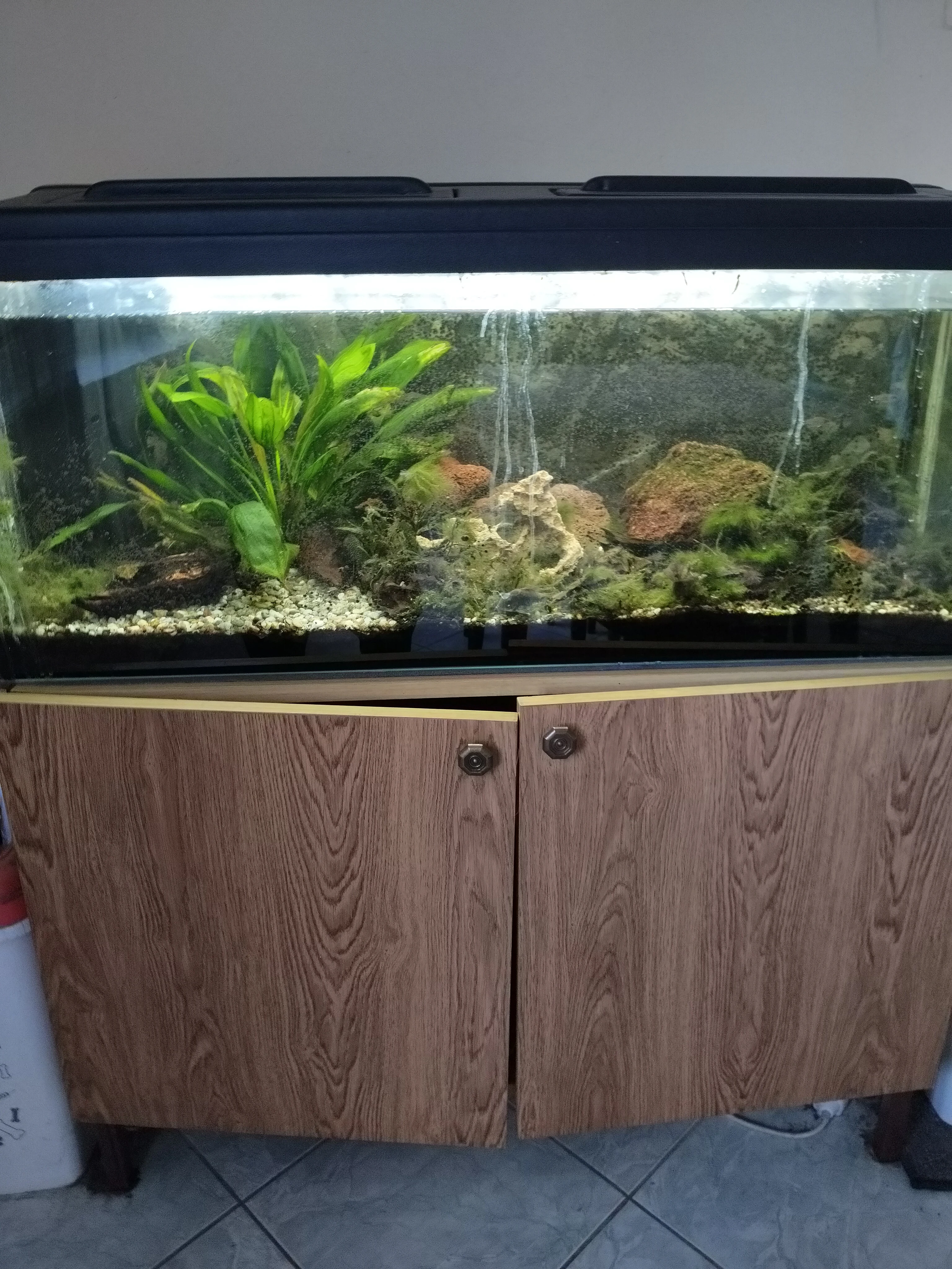 Akvárium 100x40x40