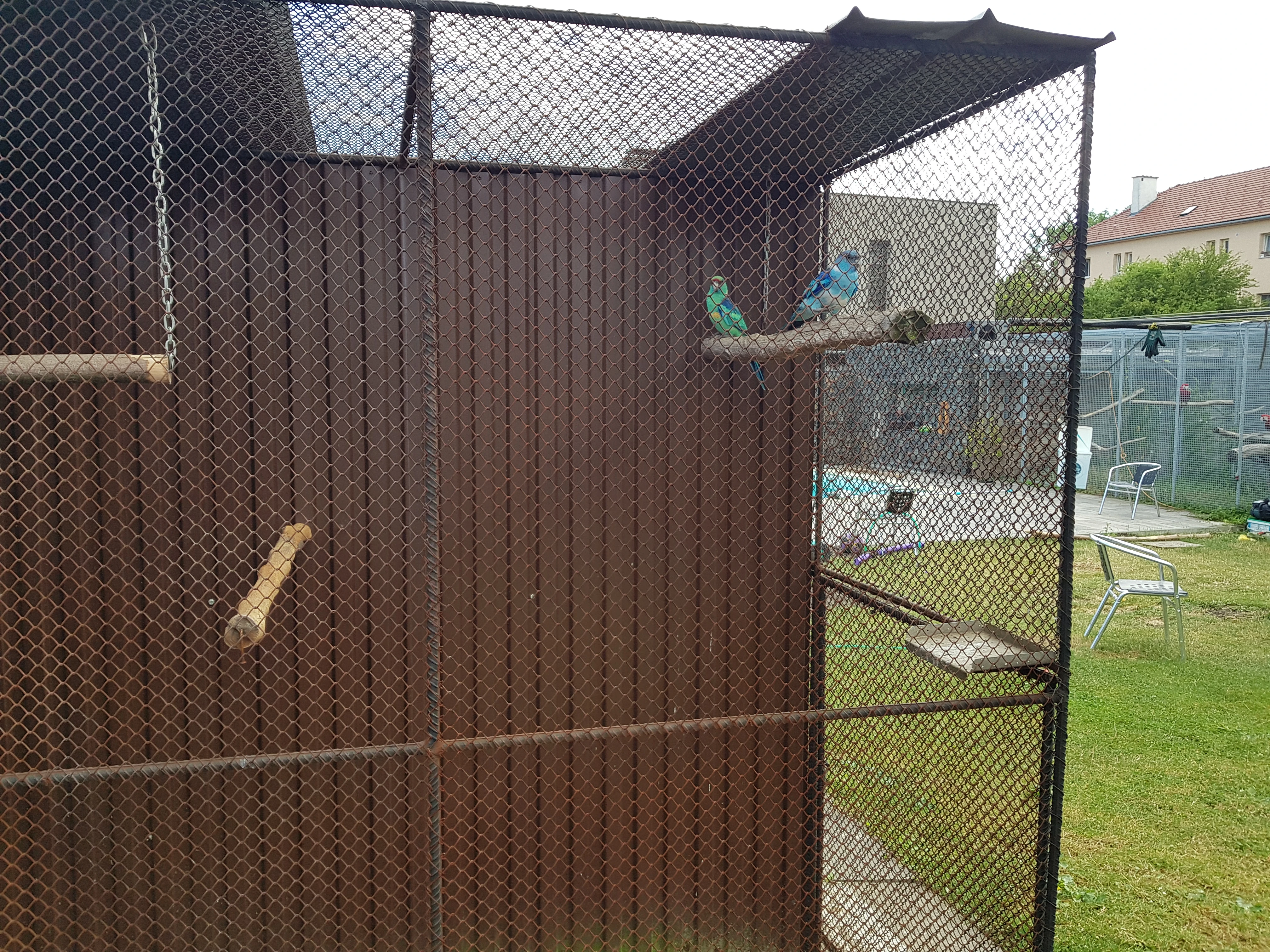 Sháním 0.1 penant oranž zlatý pastel kr 24