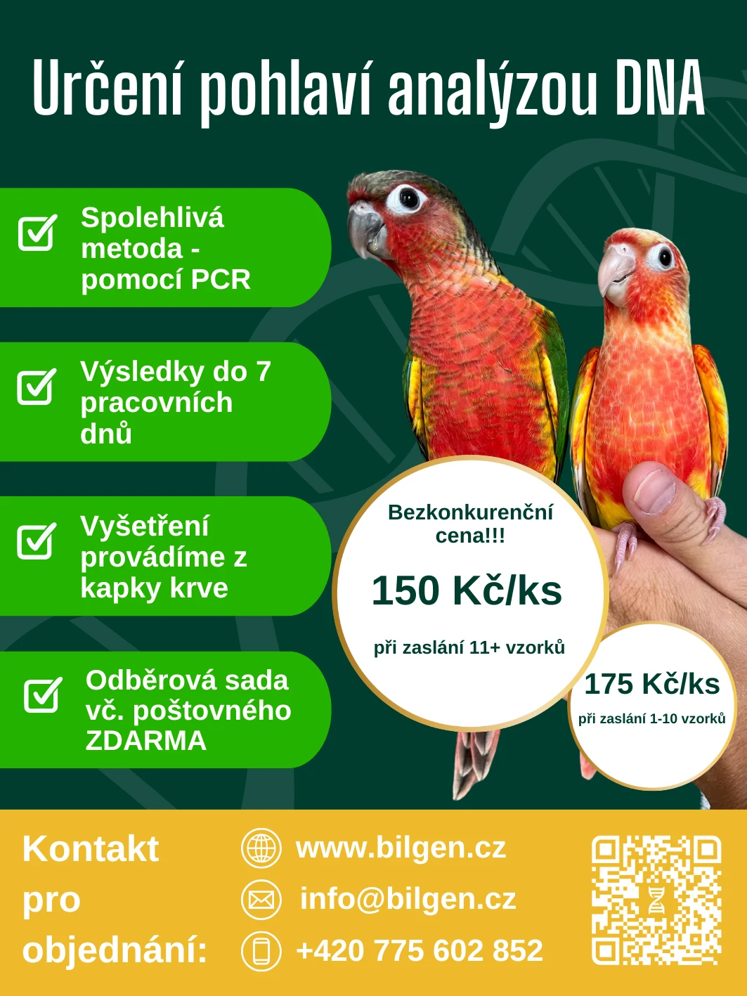 Určení pohlaví ptáků pomocí analýzy DNA - BILGEN s.r.o.