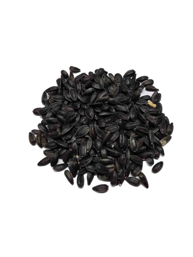 Slunecnice cerna  17 Kc