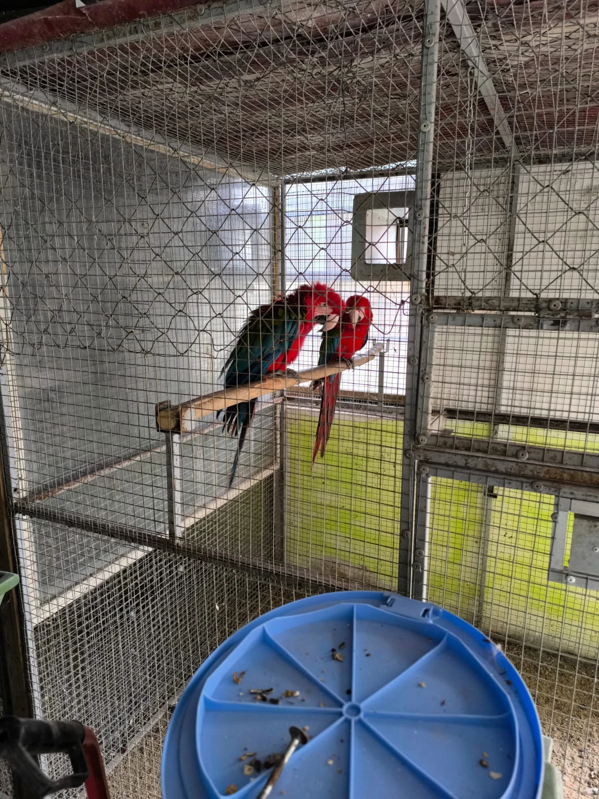 Rušení chovu -zdravotni důvody