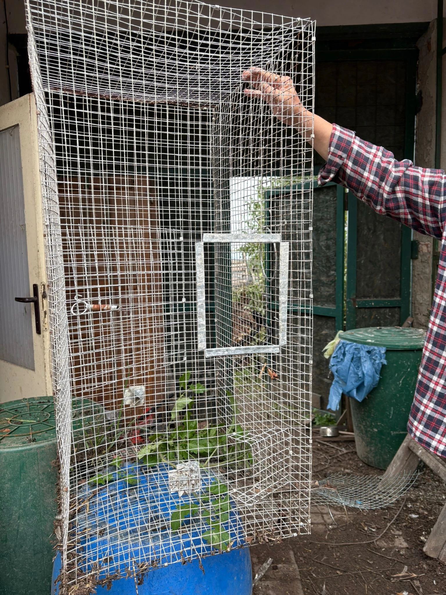 Prodám líhně, budky, dveře do voliér, pletivové panely