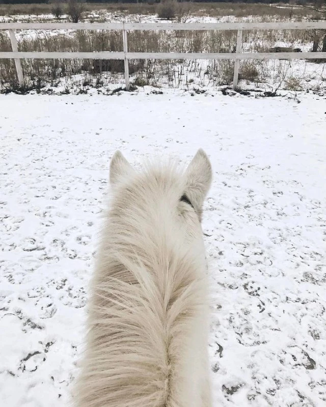 Hledám svou spřízněnou duši