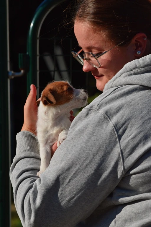 Jack Russel teriér s PP