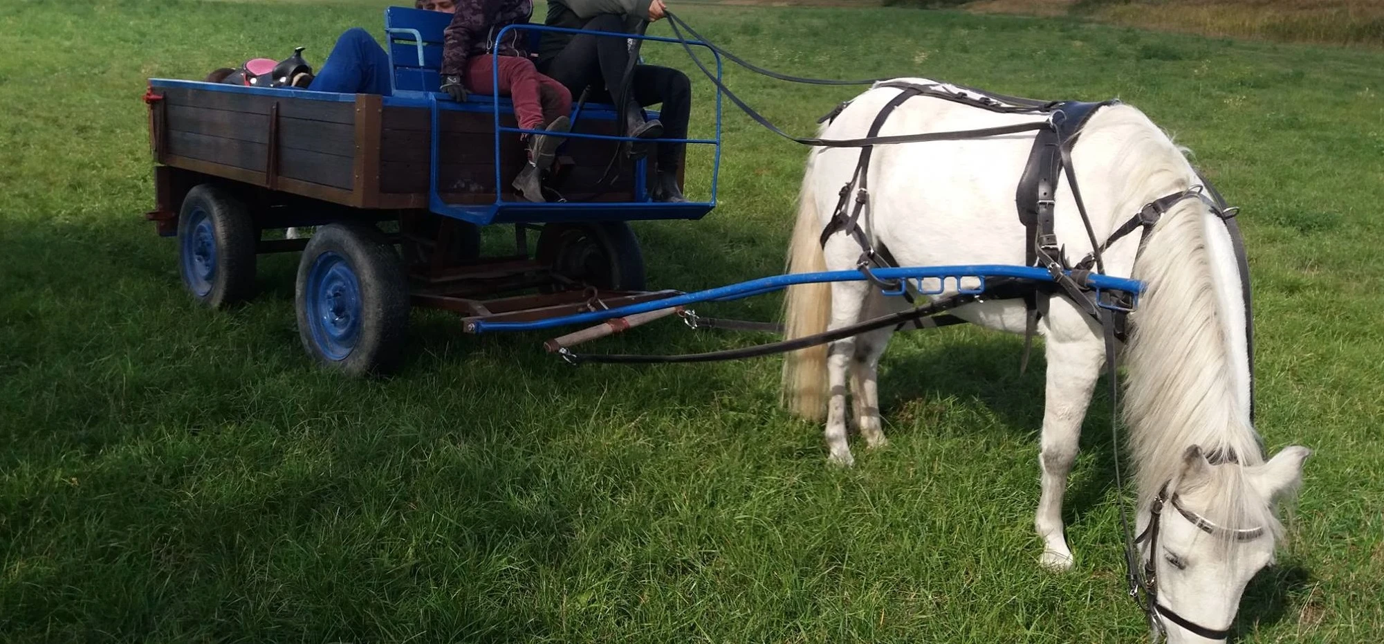 Prodám vozík za poníka - menšího koně