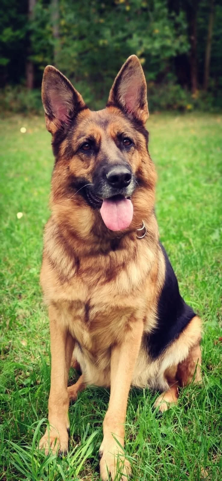 Dočasná péče nebo zahrada