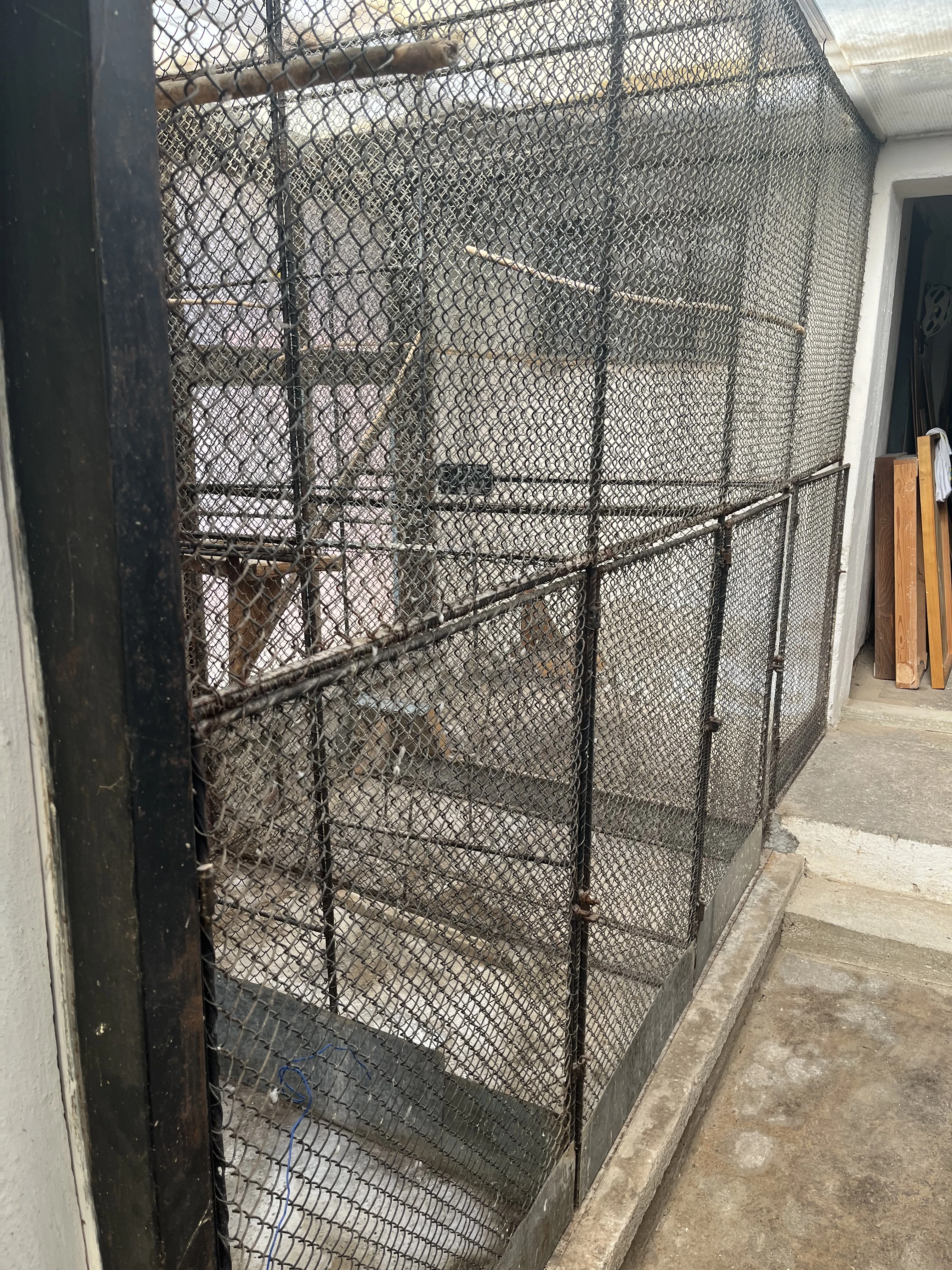 Voliéry, voliéra, klece