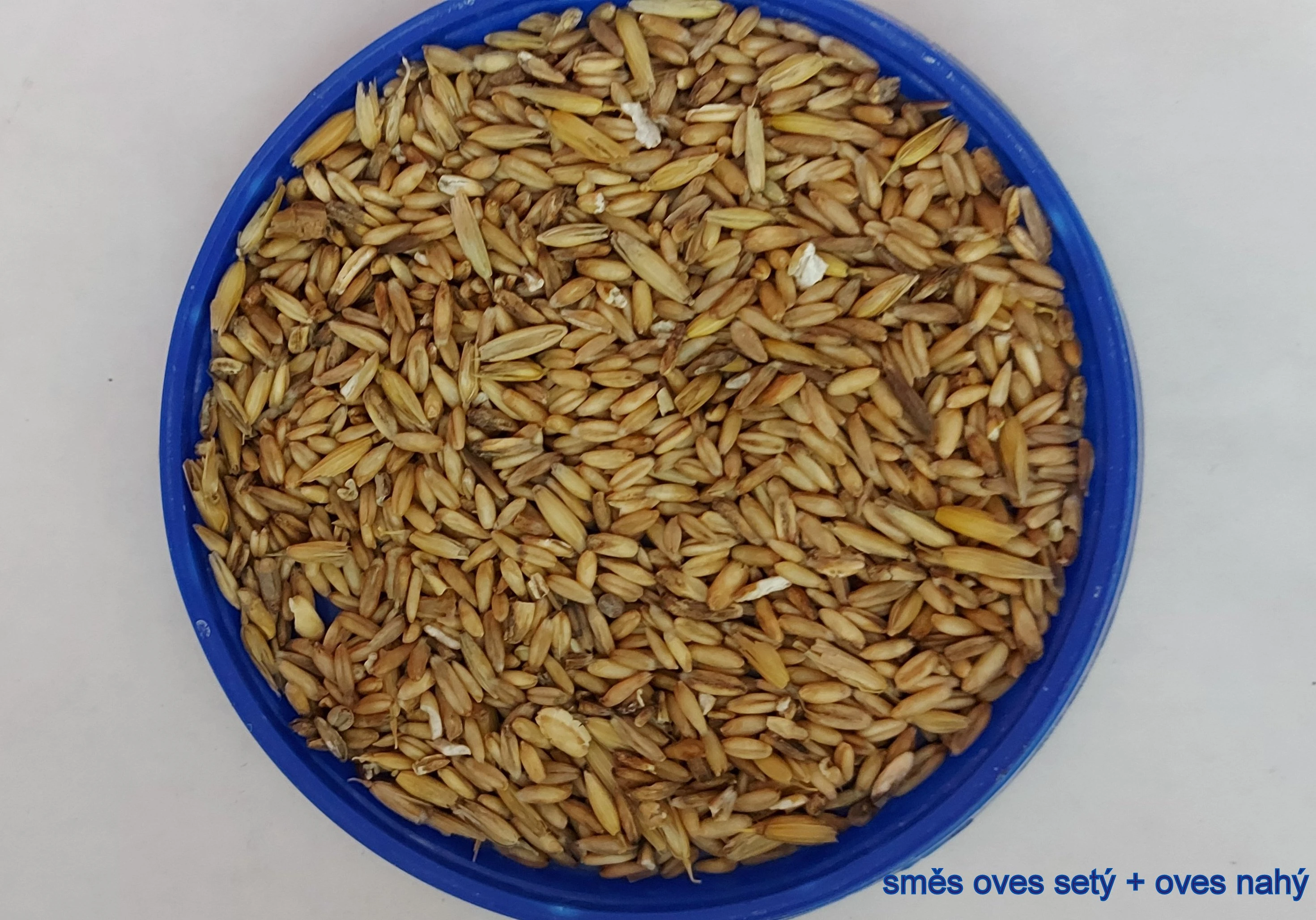 Lesknici, oves nahý, proso žluté a zelené , hrách, hrachové půlky