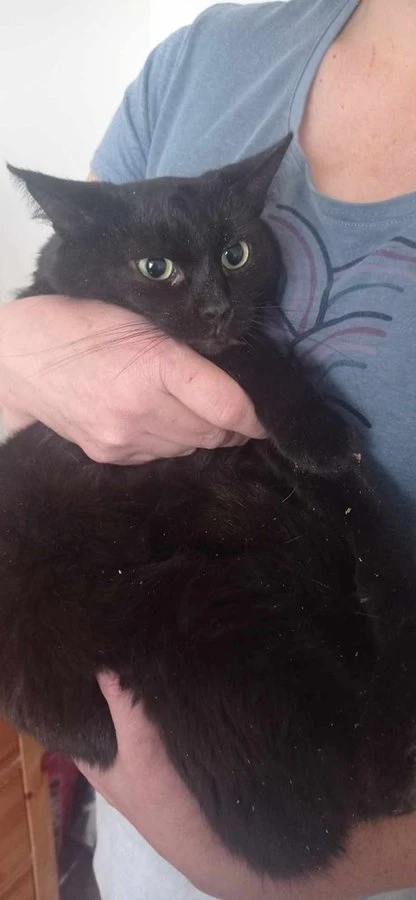 Sašenka žije celý svůj život v útulku :-(