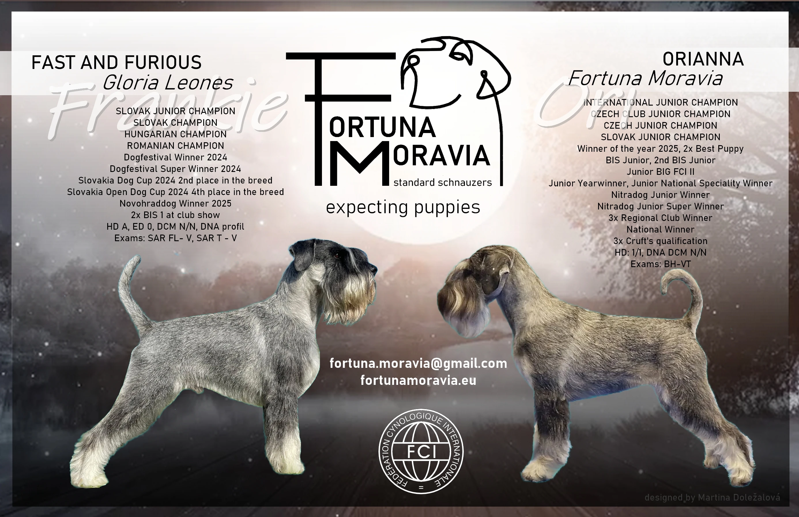 Knírač střední pepř a sůl