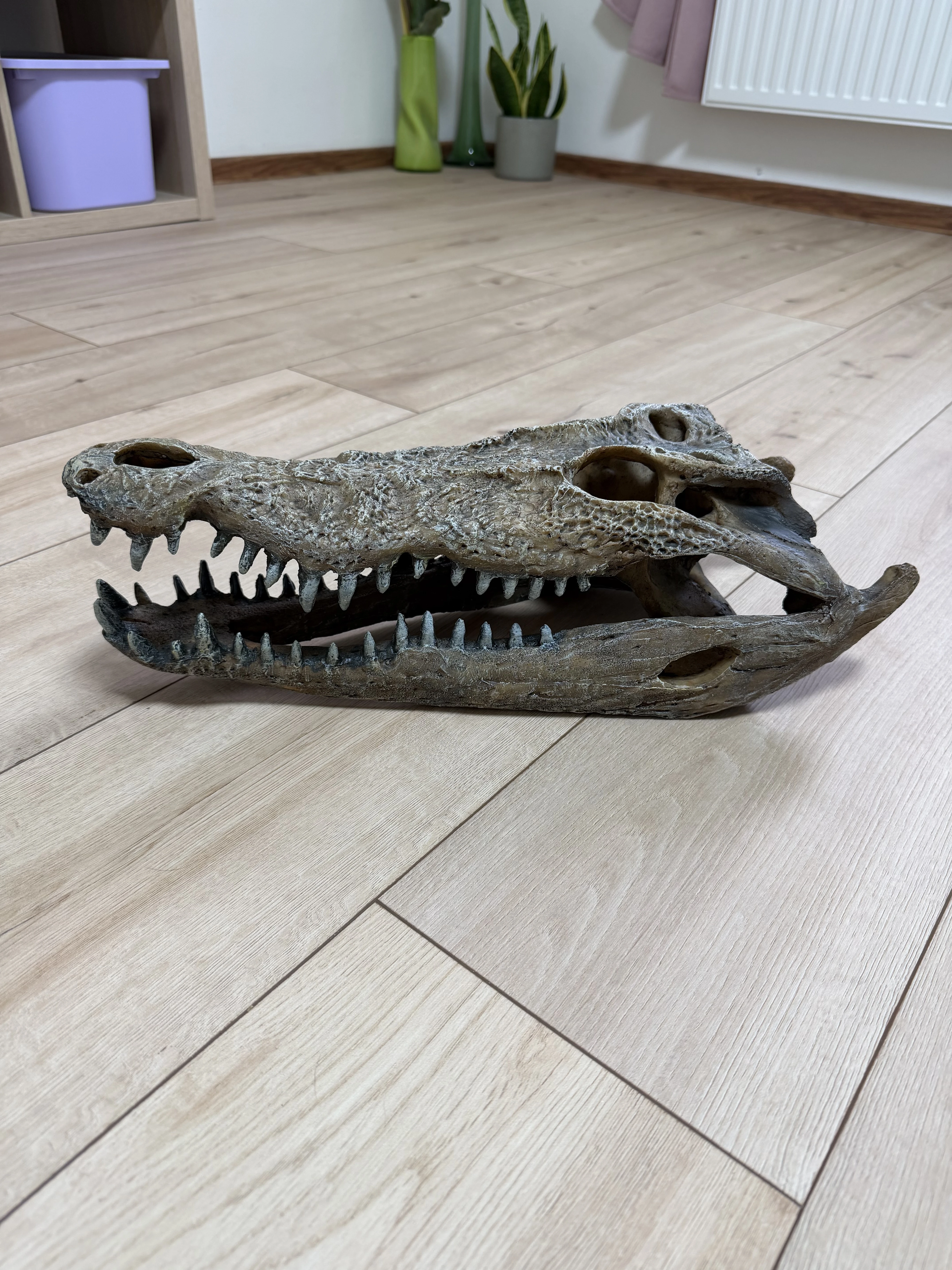 Dekorace Krokodyl xxl