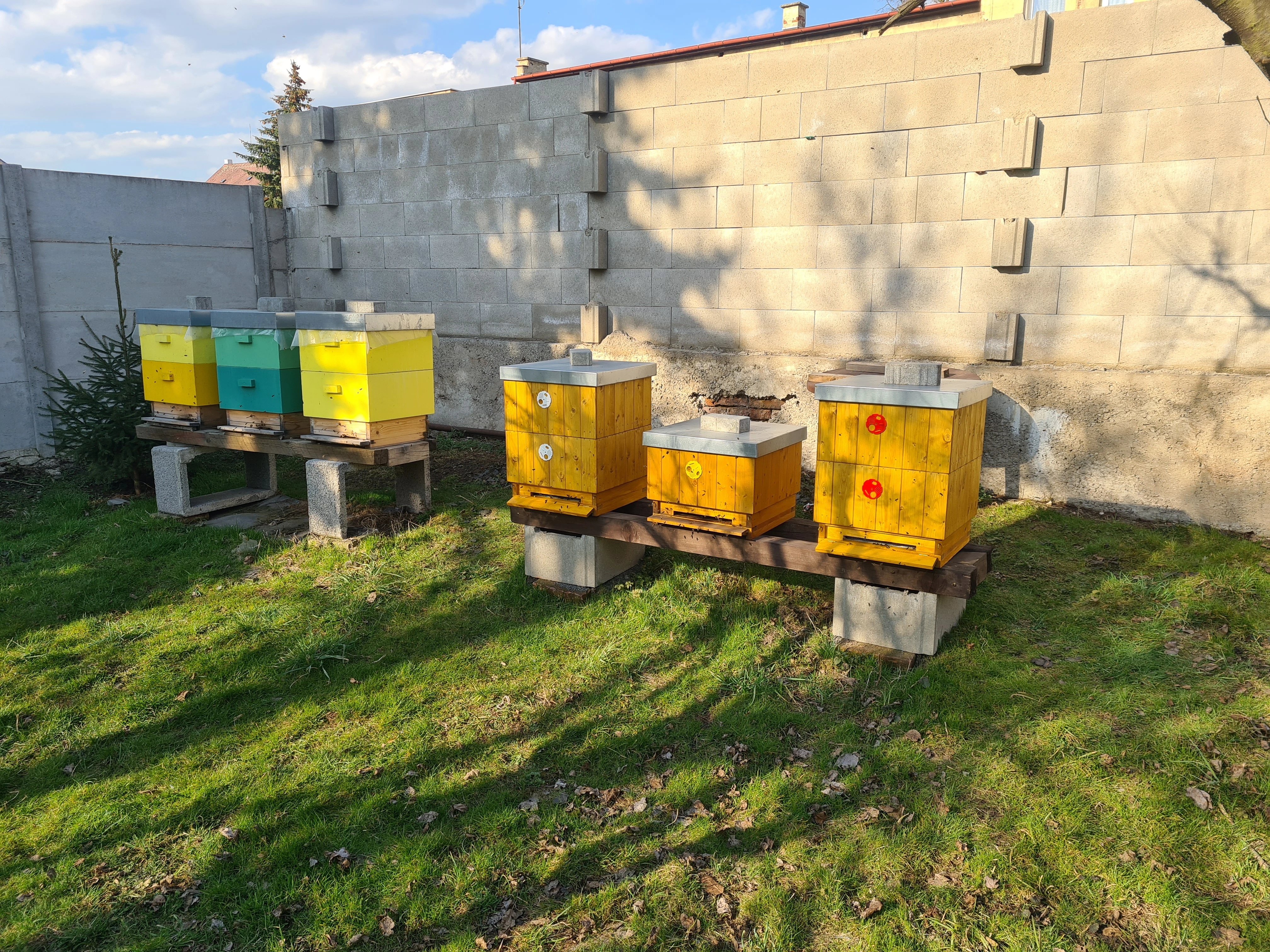 Vyzimovaná včelstva 39x24