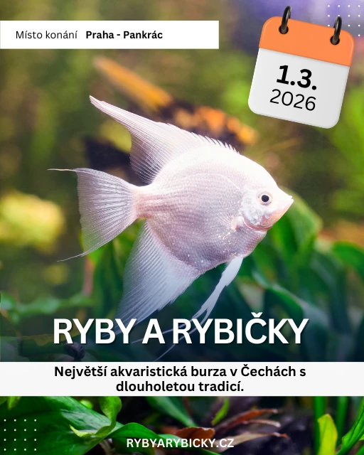 Ryby a rybičky - výstavní a prodejní akvaristická burza v Praze - 1.3.2026