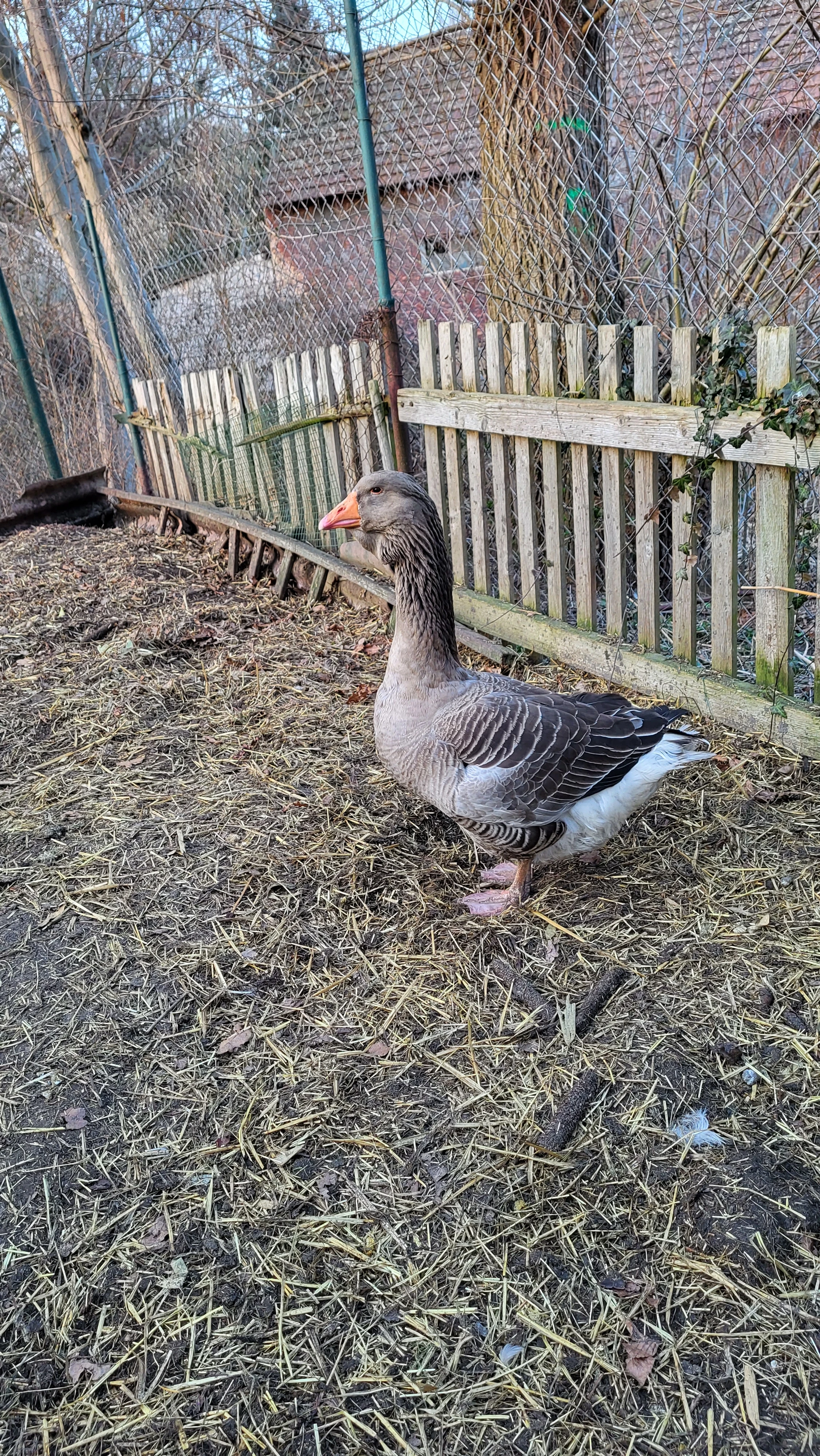 Houser roční prodej.
