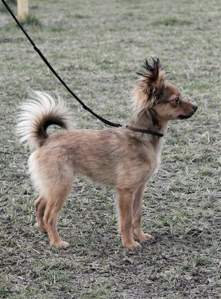 Eros-Odysseus ze Cvrčovic