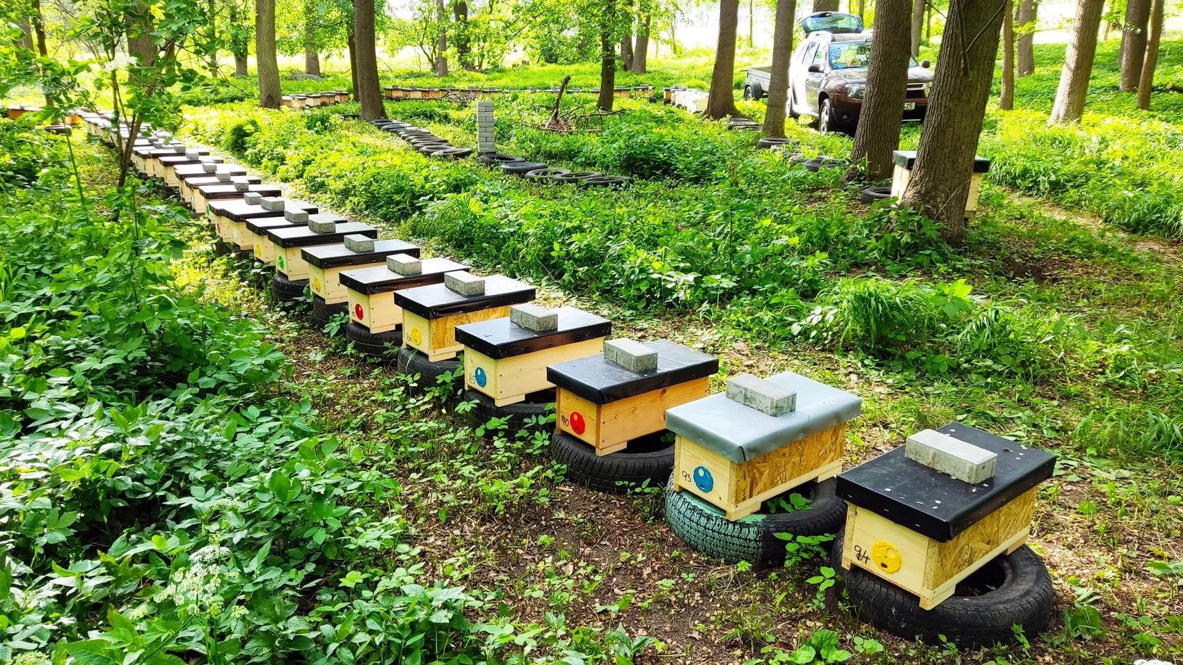 Nabídka oddělků Langstroth 2/3 - množstevní sleva