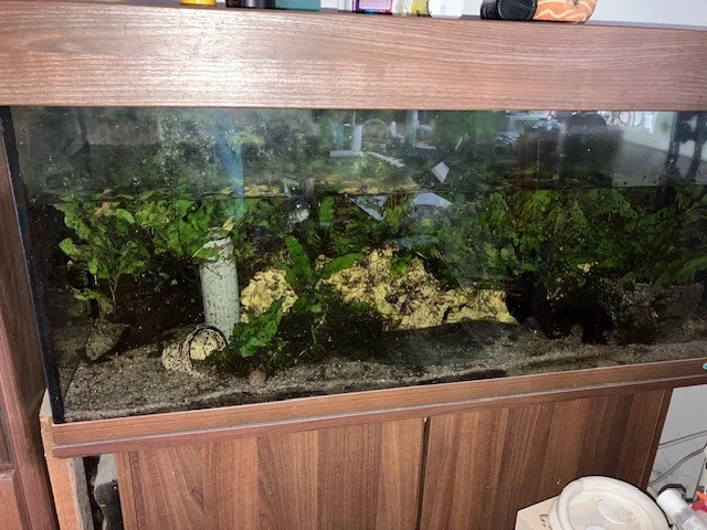 Akvarium se stolkem a filtrem, 240 l