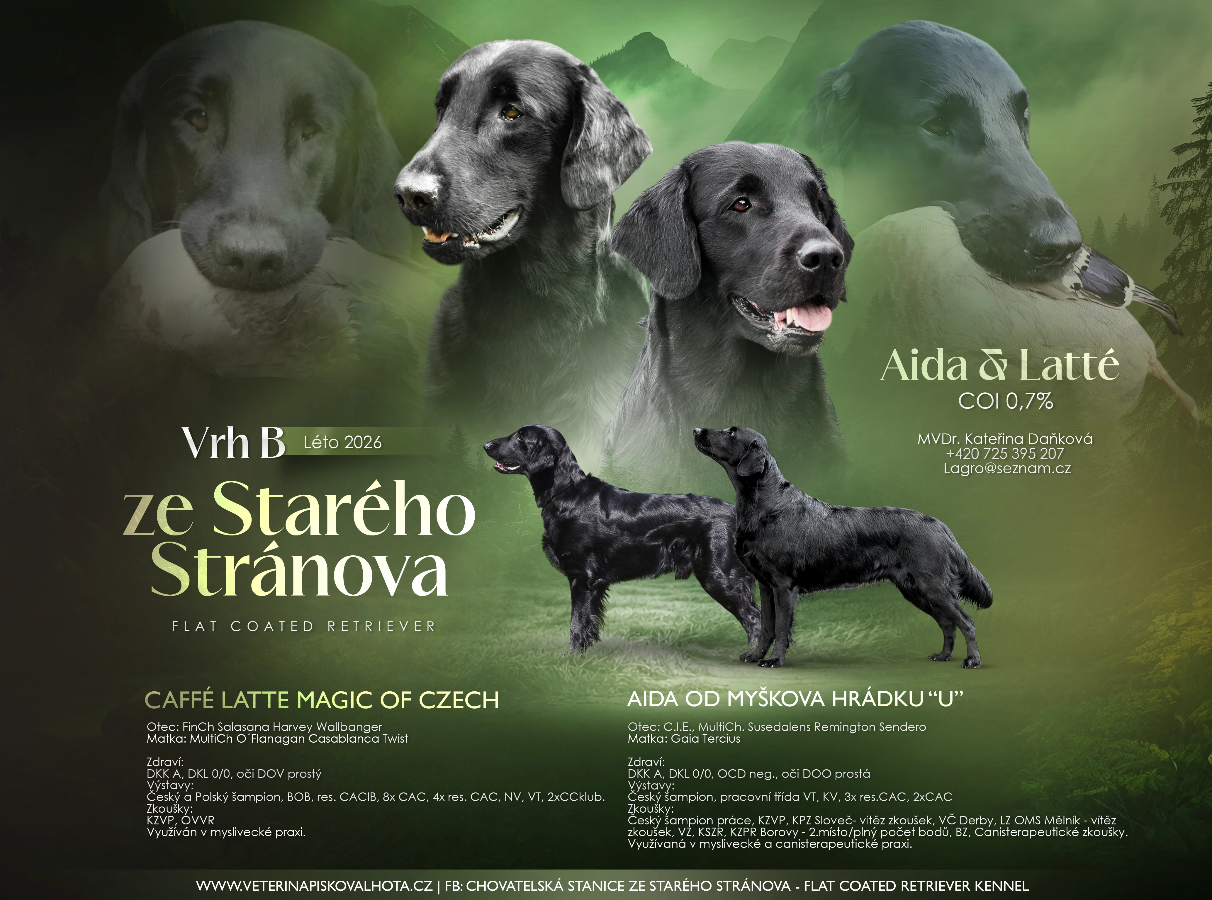 Flat coated retriever černá štěňátka