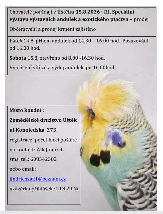 Výstava