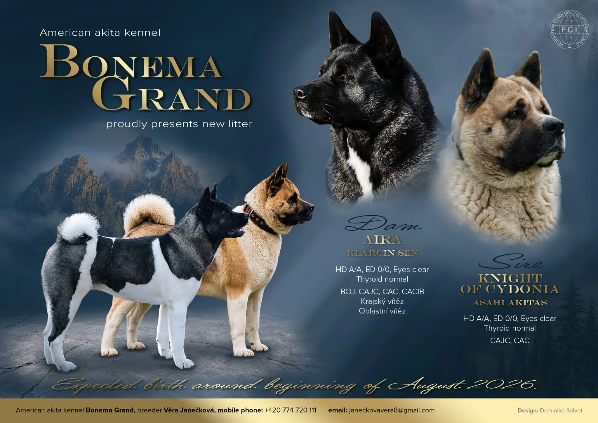 Americká akita