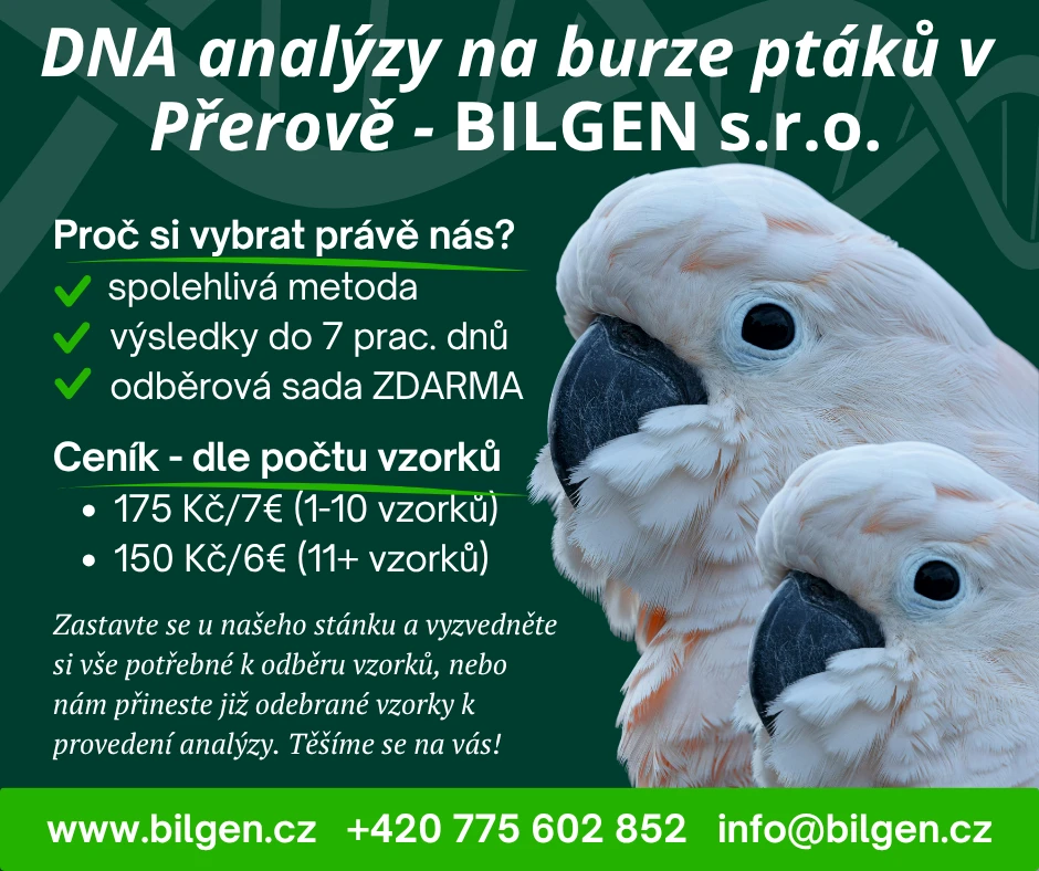 Určení pohlaví ptáků (DNA) na burze v Přerově - BILGEN s.r.o.