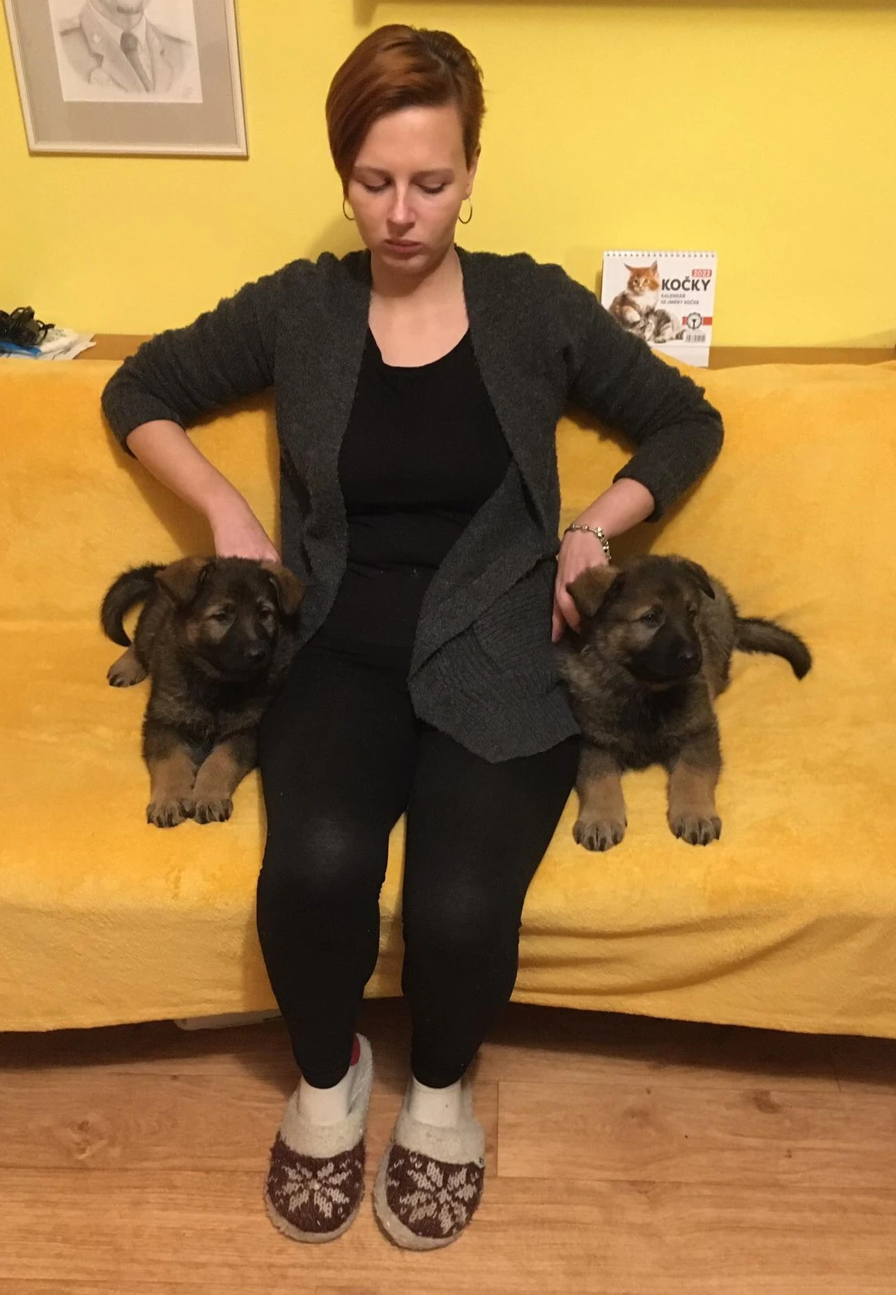 Německý ovčák štěně