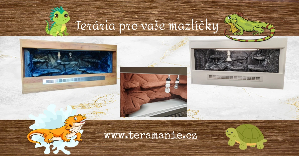 Terarium 100x50x50