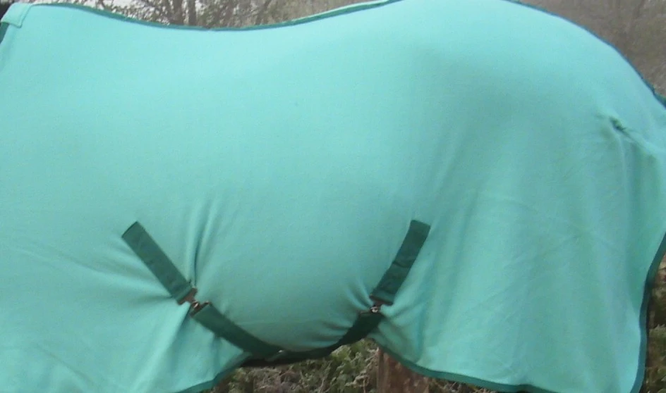 Výbava pro velkého koně