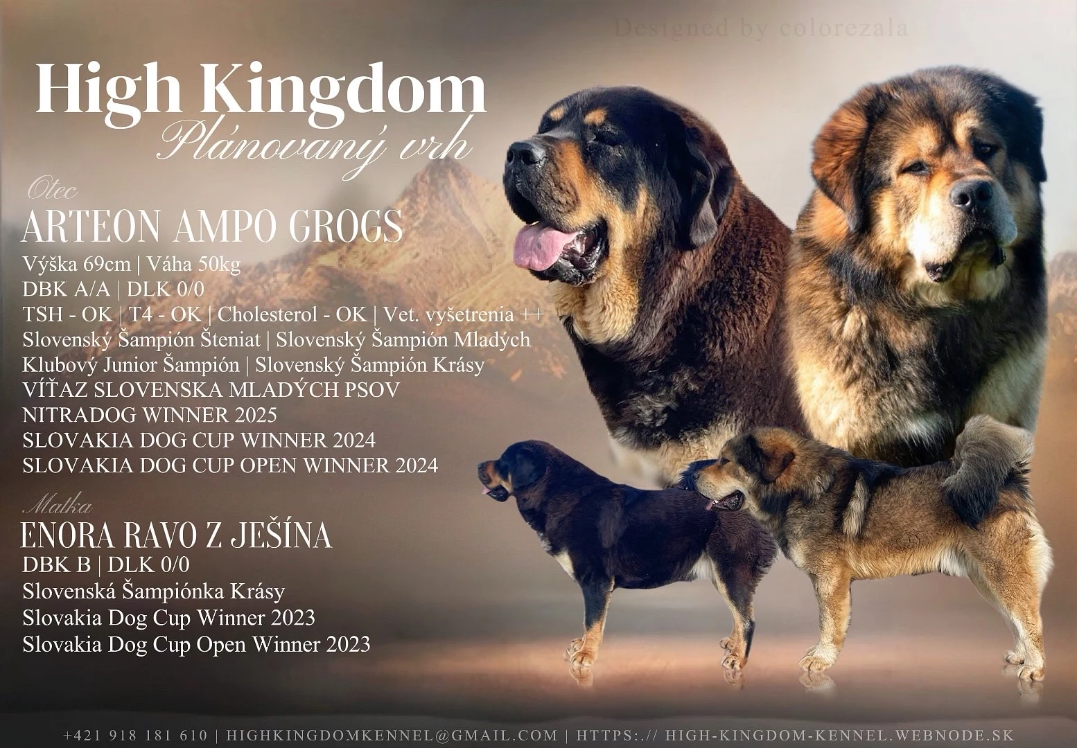 Rezervácia šteniat Tibetskej dogy