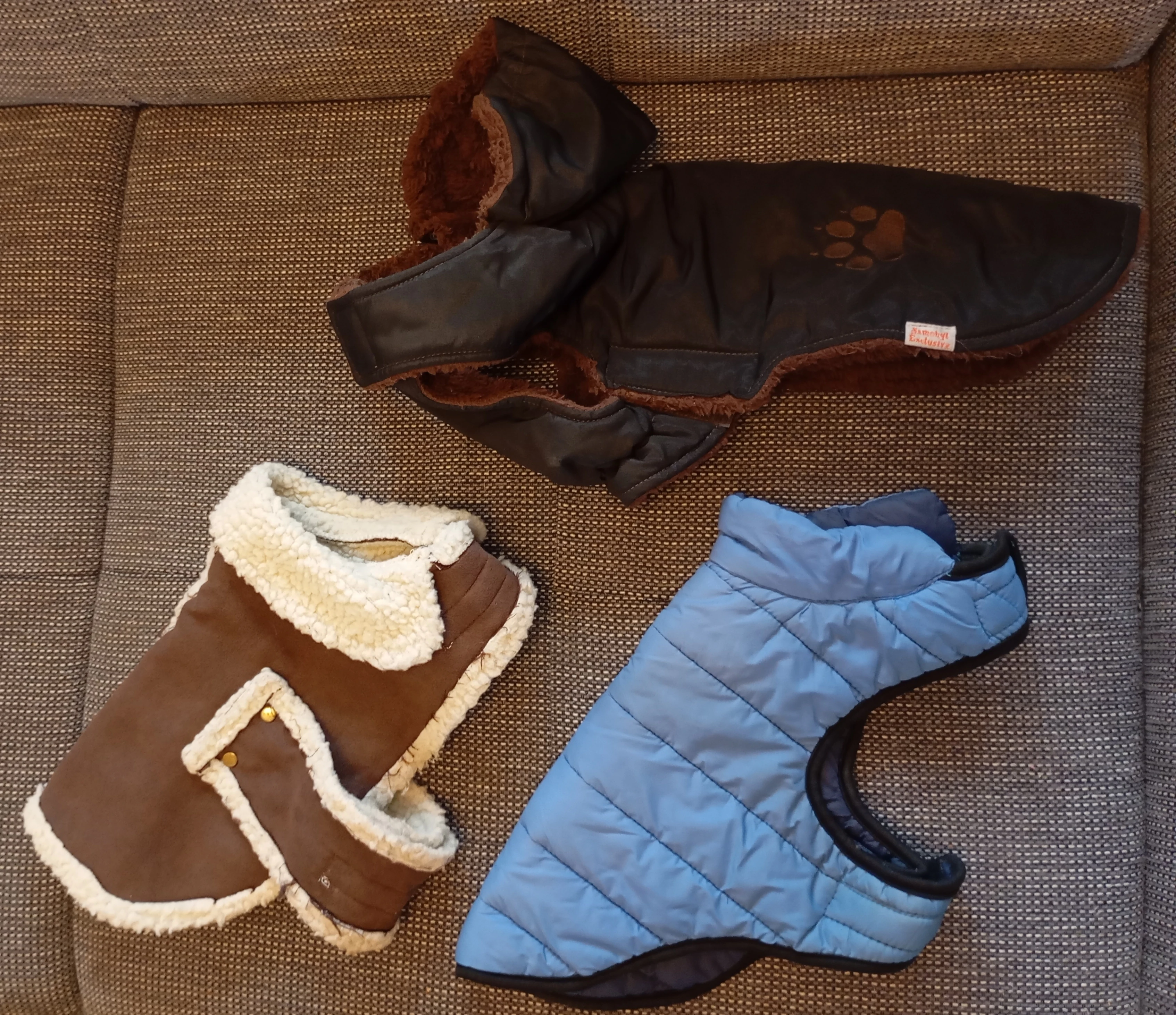 Oblečky pro malého psa