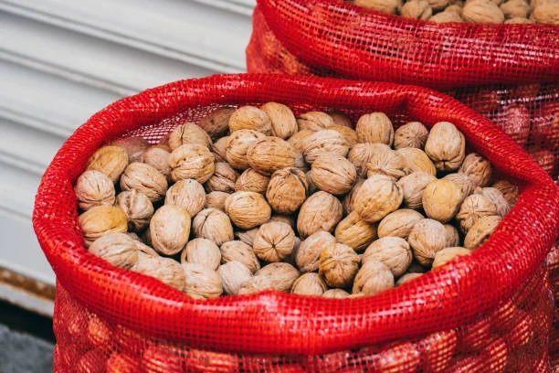 Vlašske ořechy -nelouskane 2025