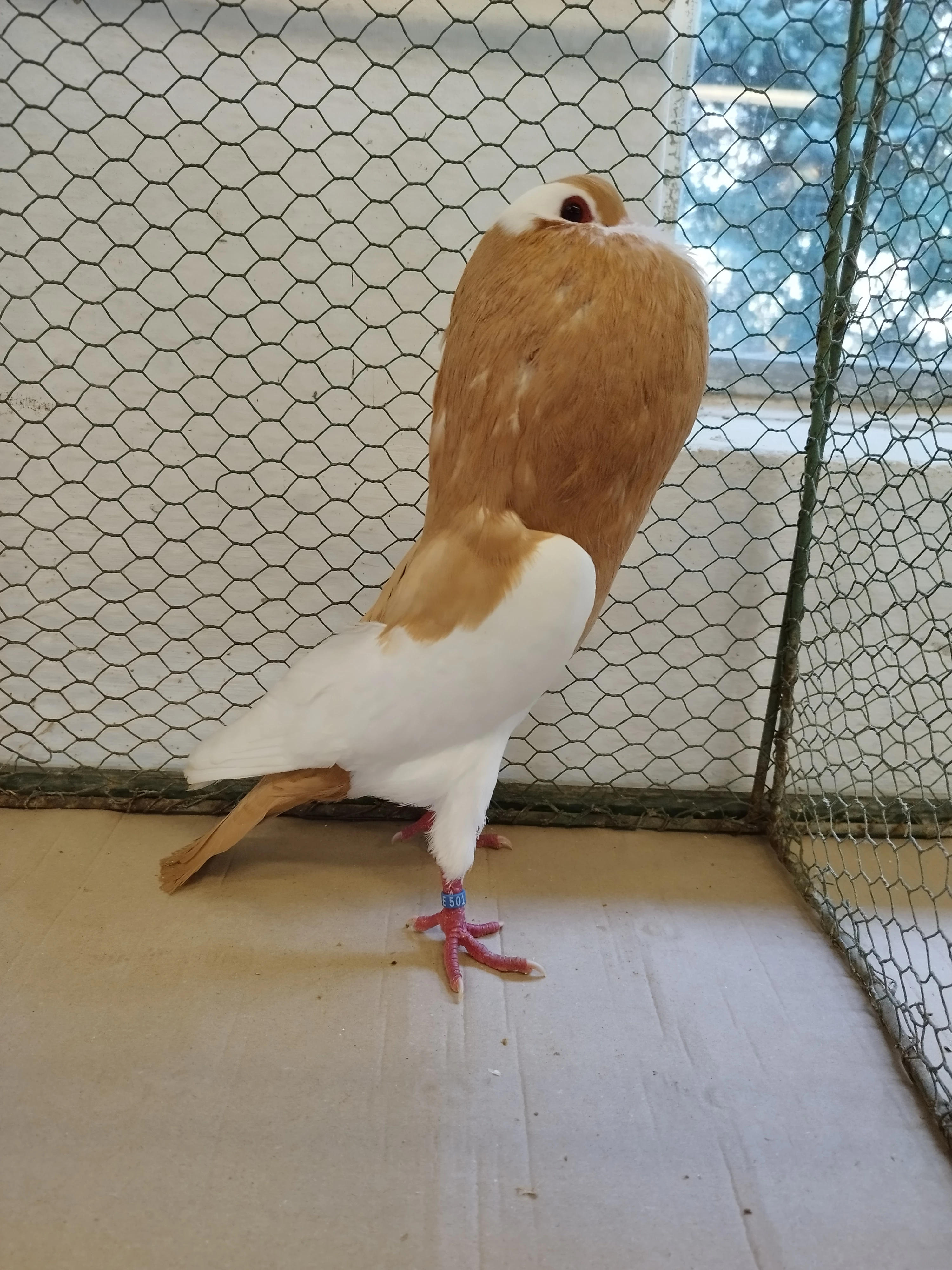 Speciální výstava pobočky