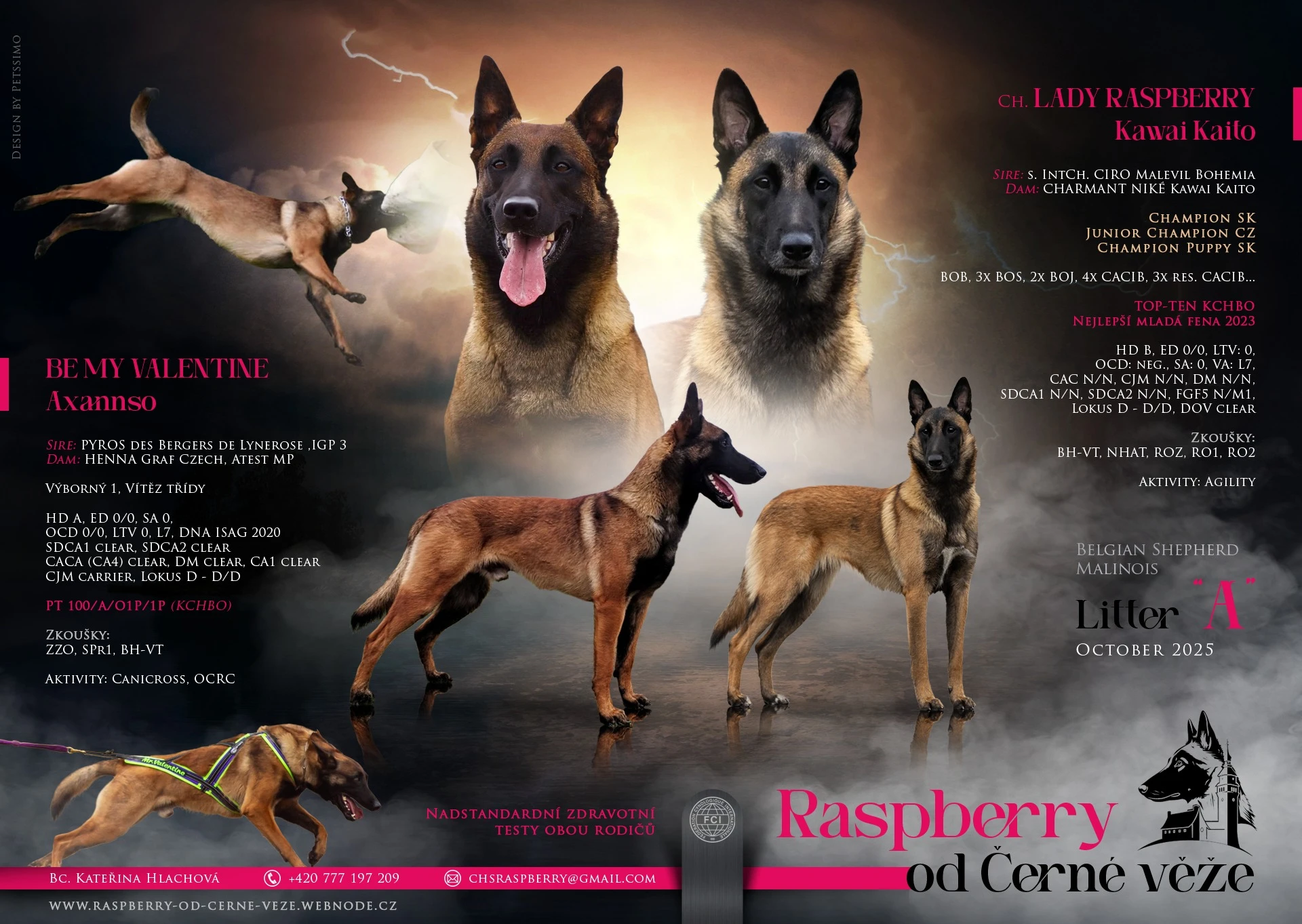 Belgický ovčák malinois Lady Raspberry Kawai Kaito & Be My Valentine Axannso