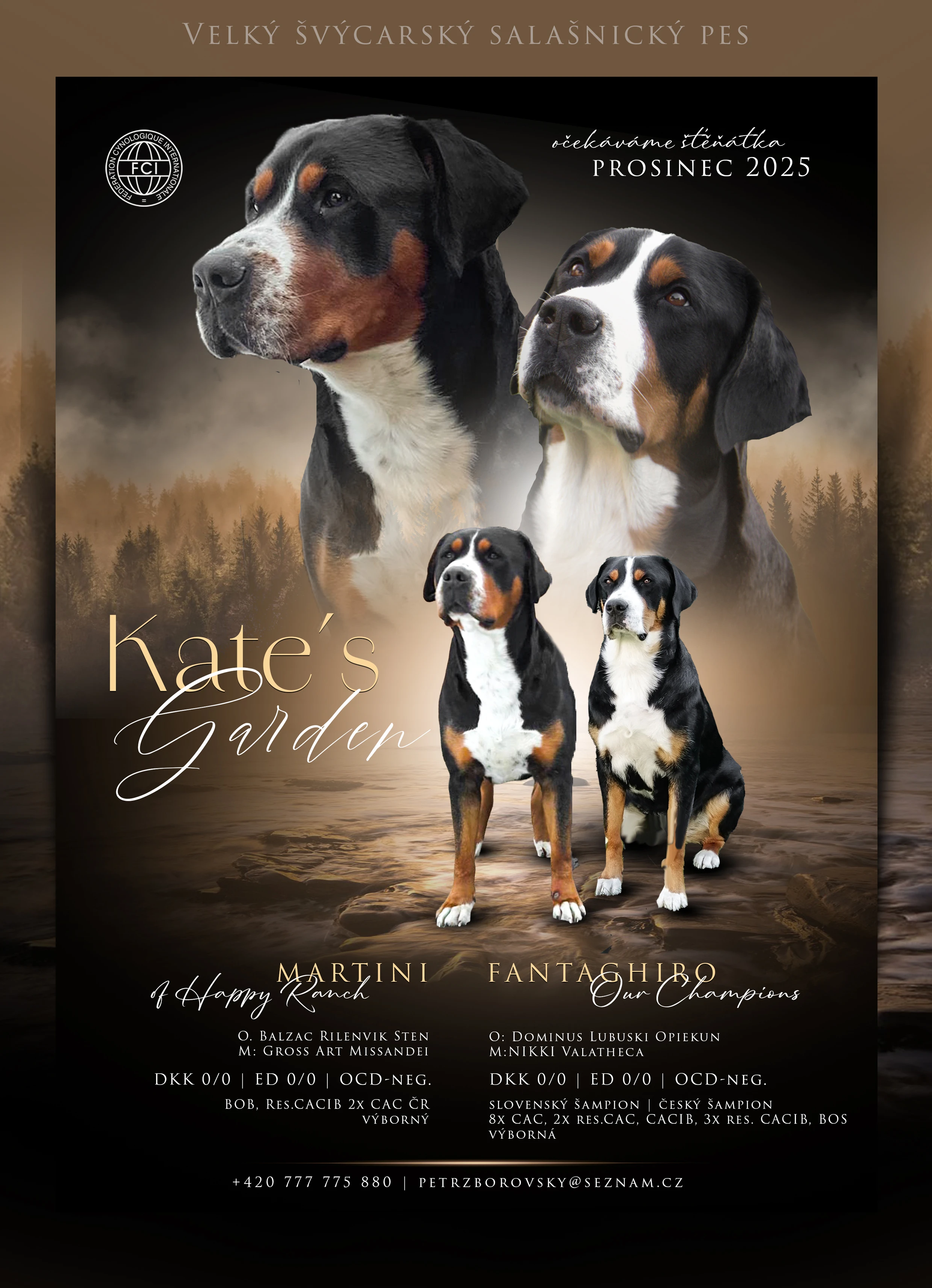 Velký švýcarský salašnický pes