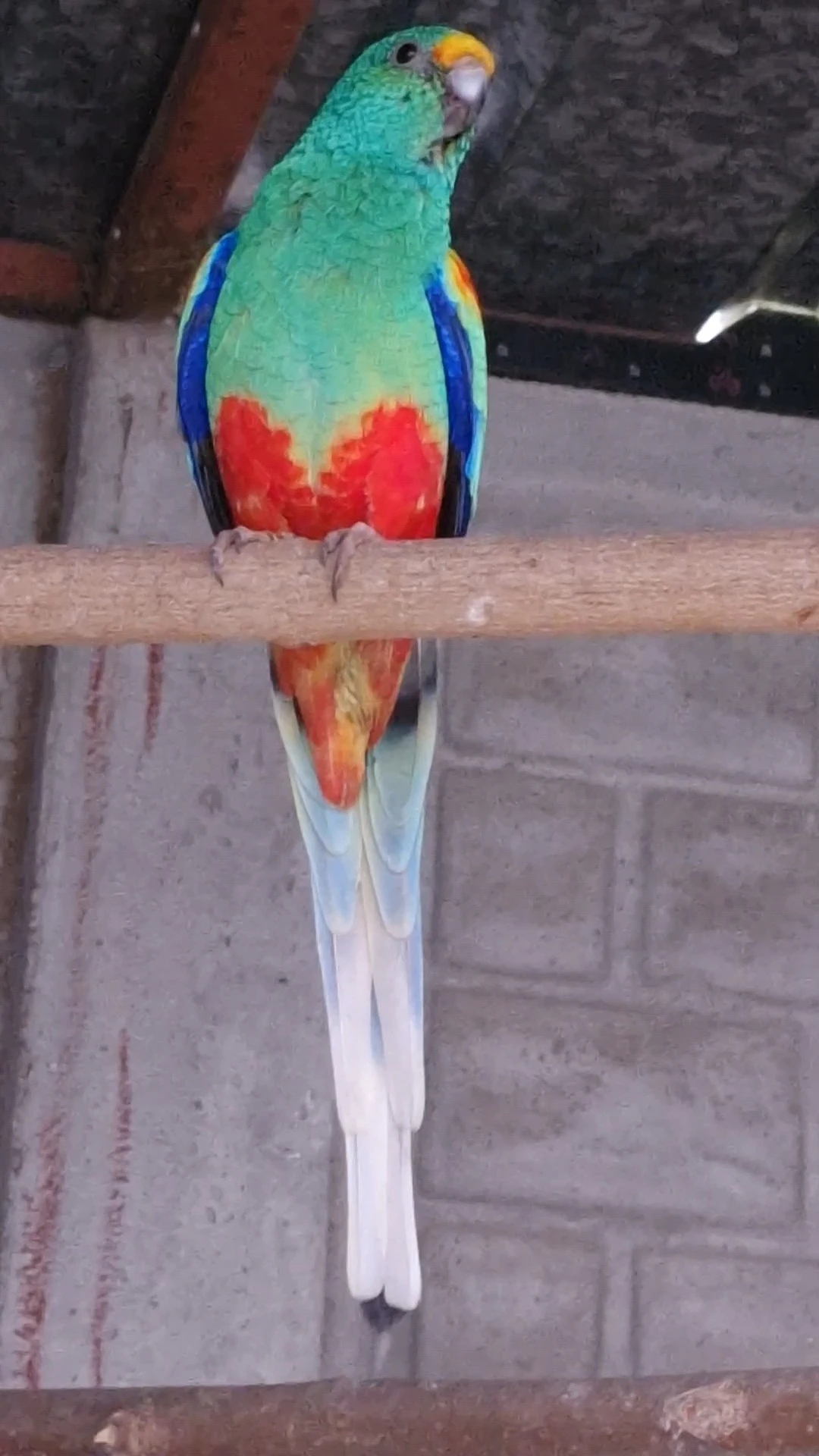 Hledám takového muže.