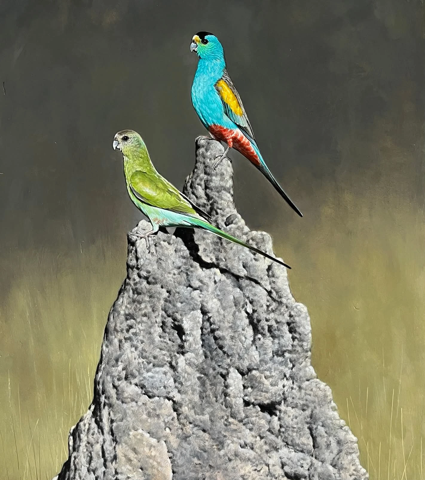 Papoušek žlutoramenný