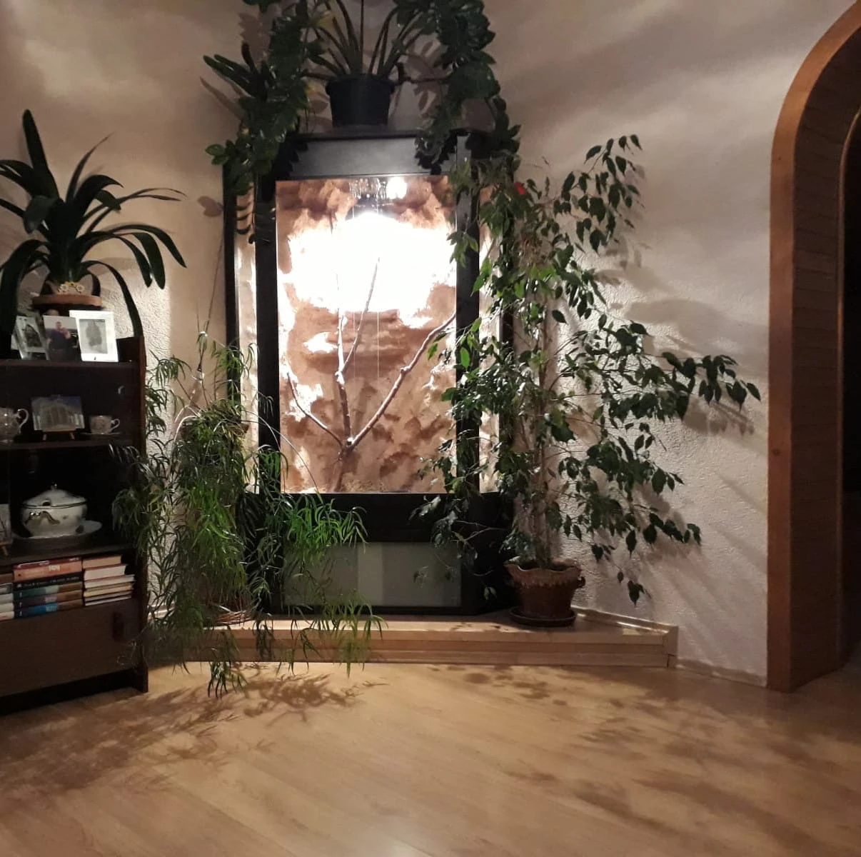 Při rychlém jednání sleva možná