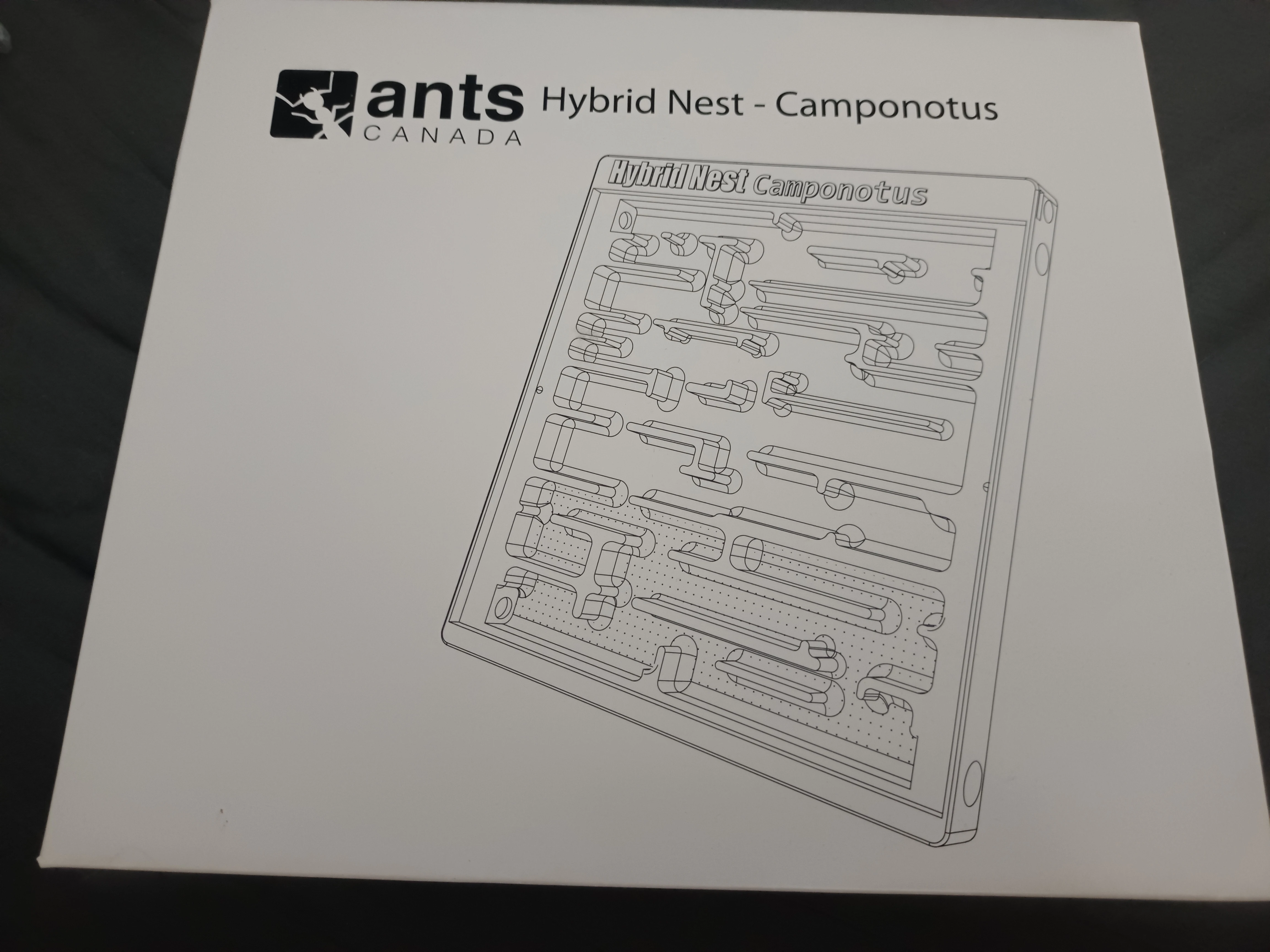 Vybavení k chovu mravenců od AntsCanada