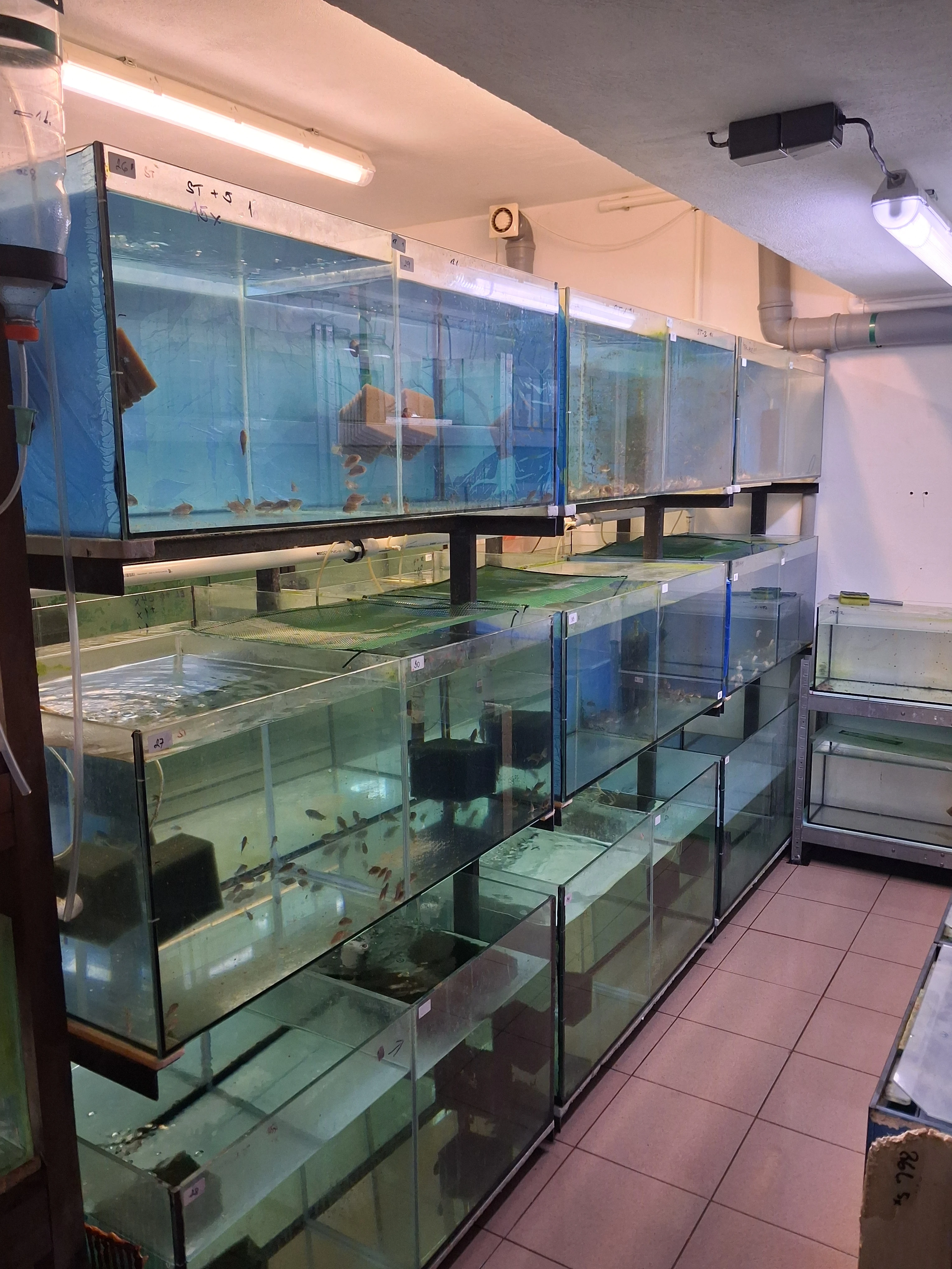 Vybavení pro chov rybiček