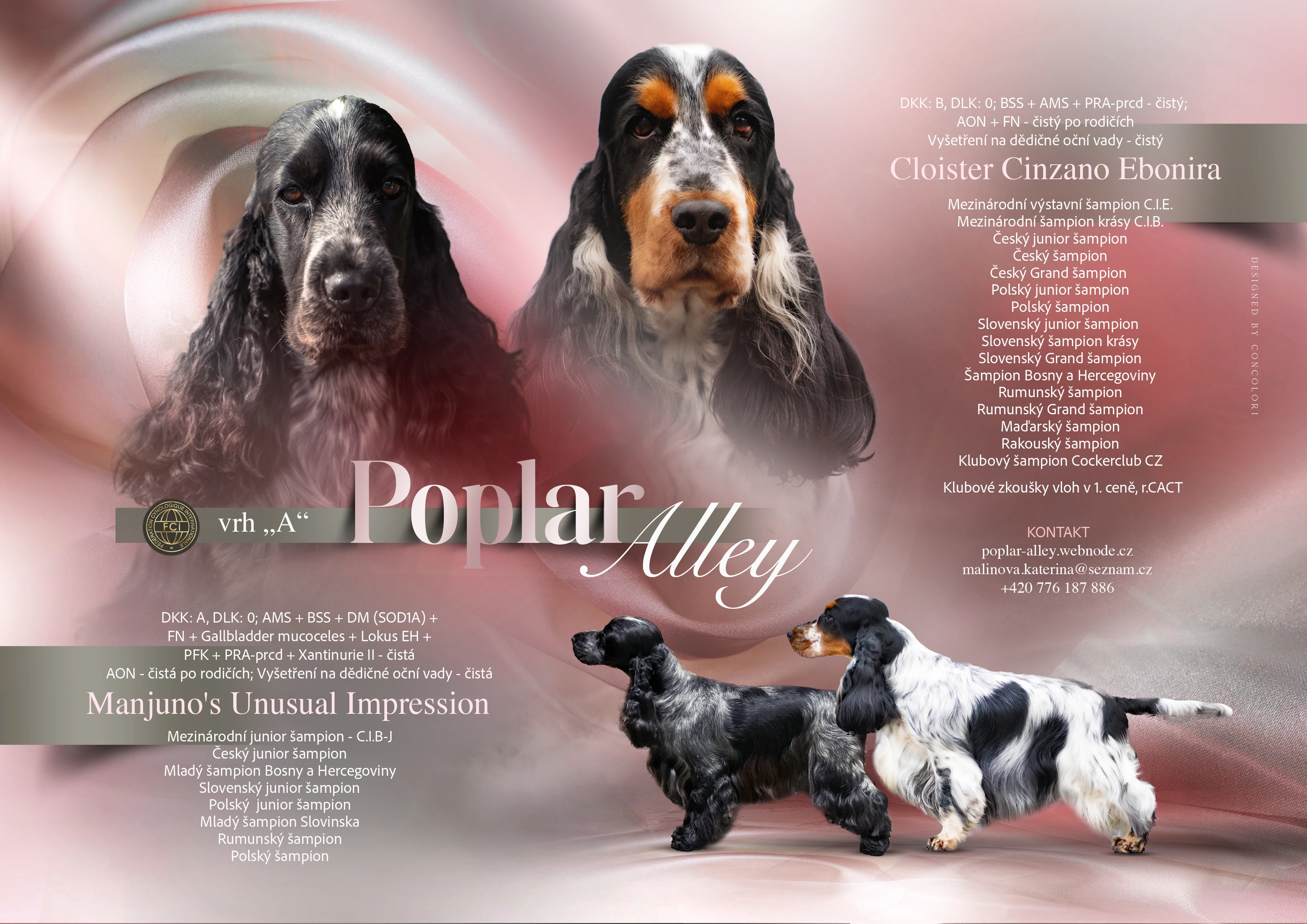 Štěňátka anglického kokršpaněla s PP