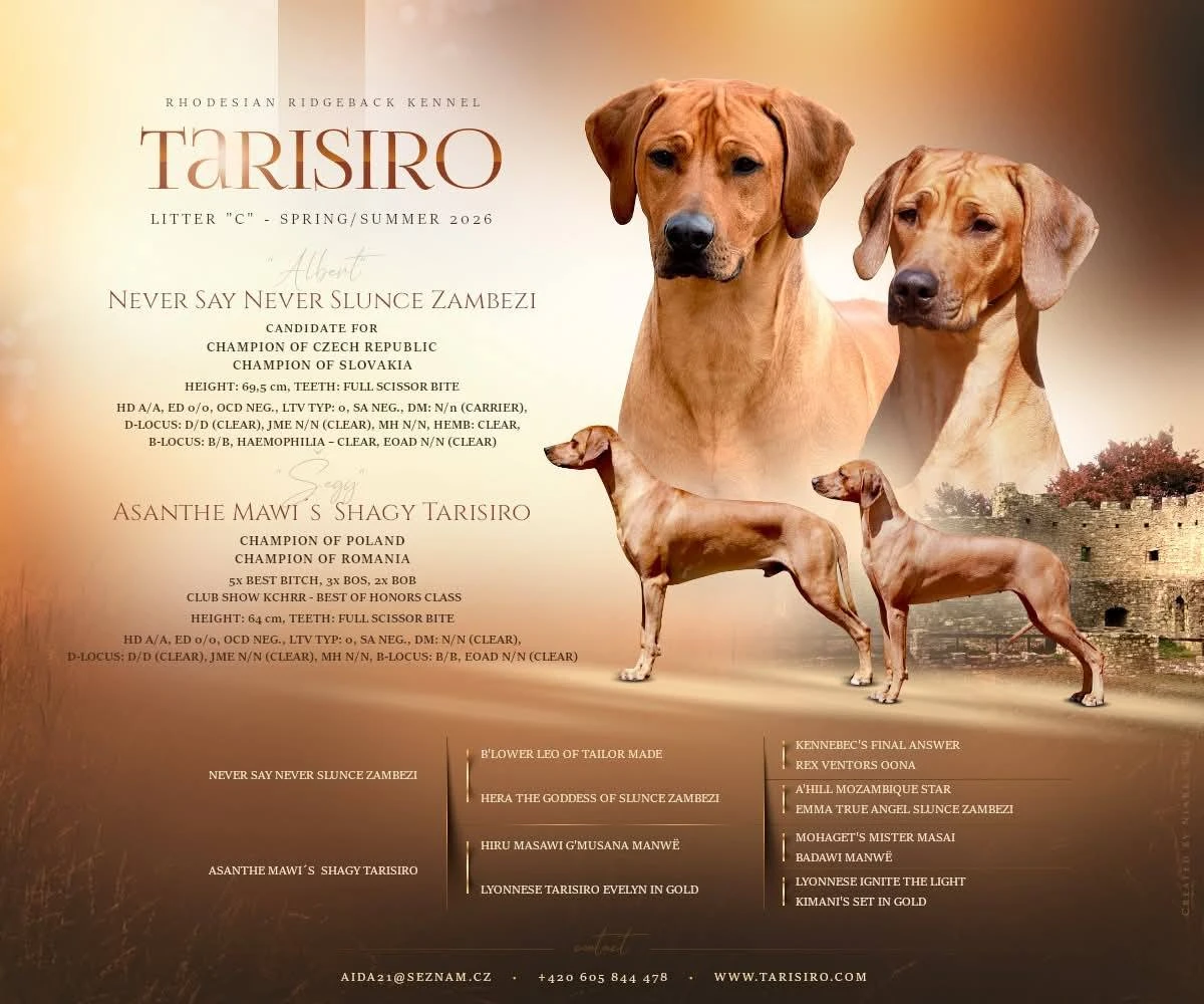 Tarisiro kennel