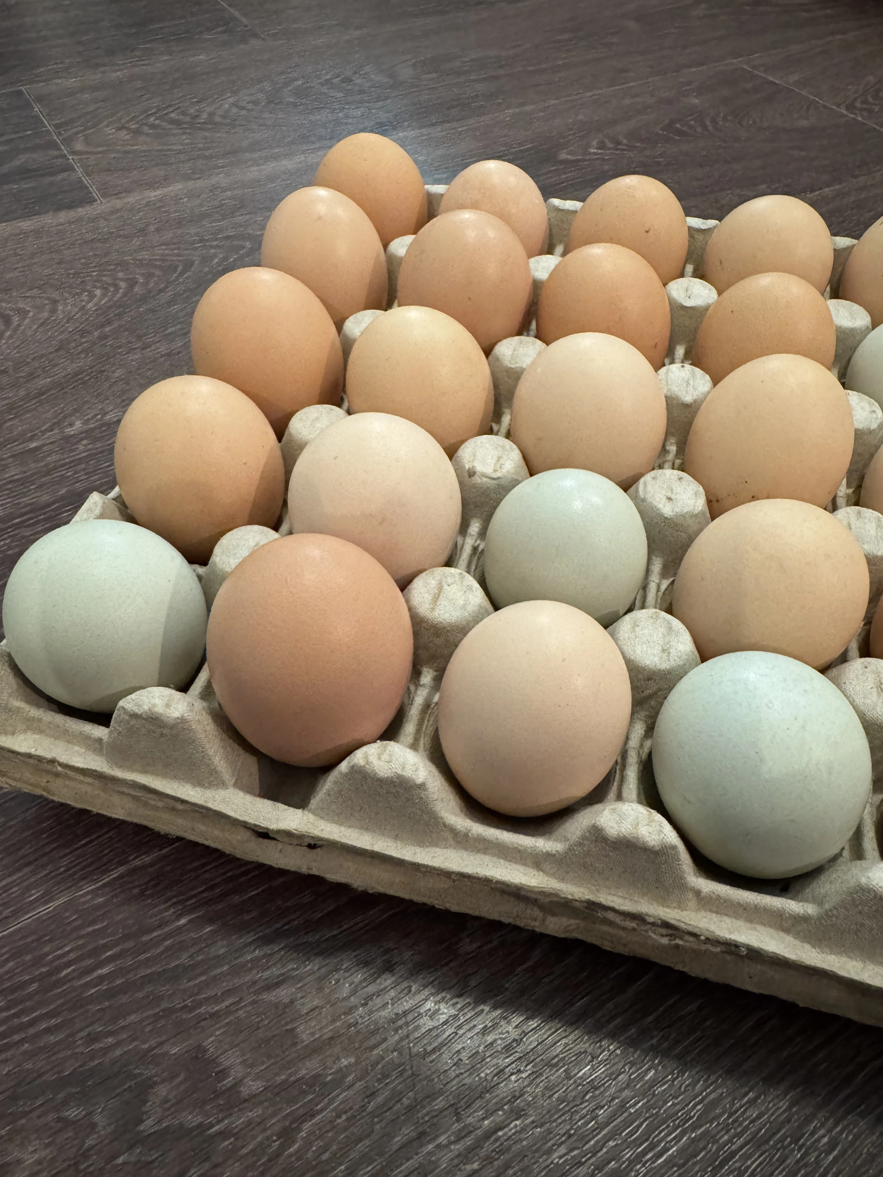 Čerstvé Vajíčka z domácího chovu