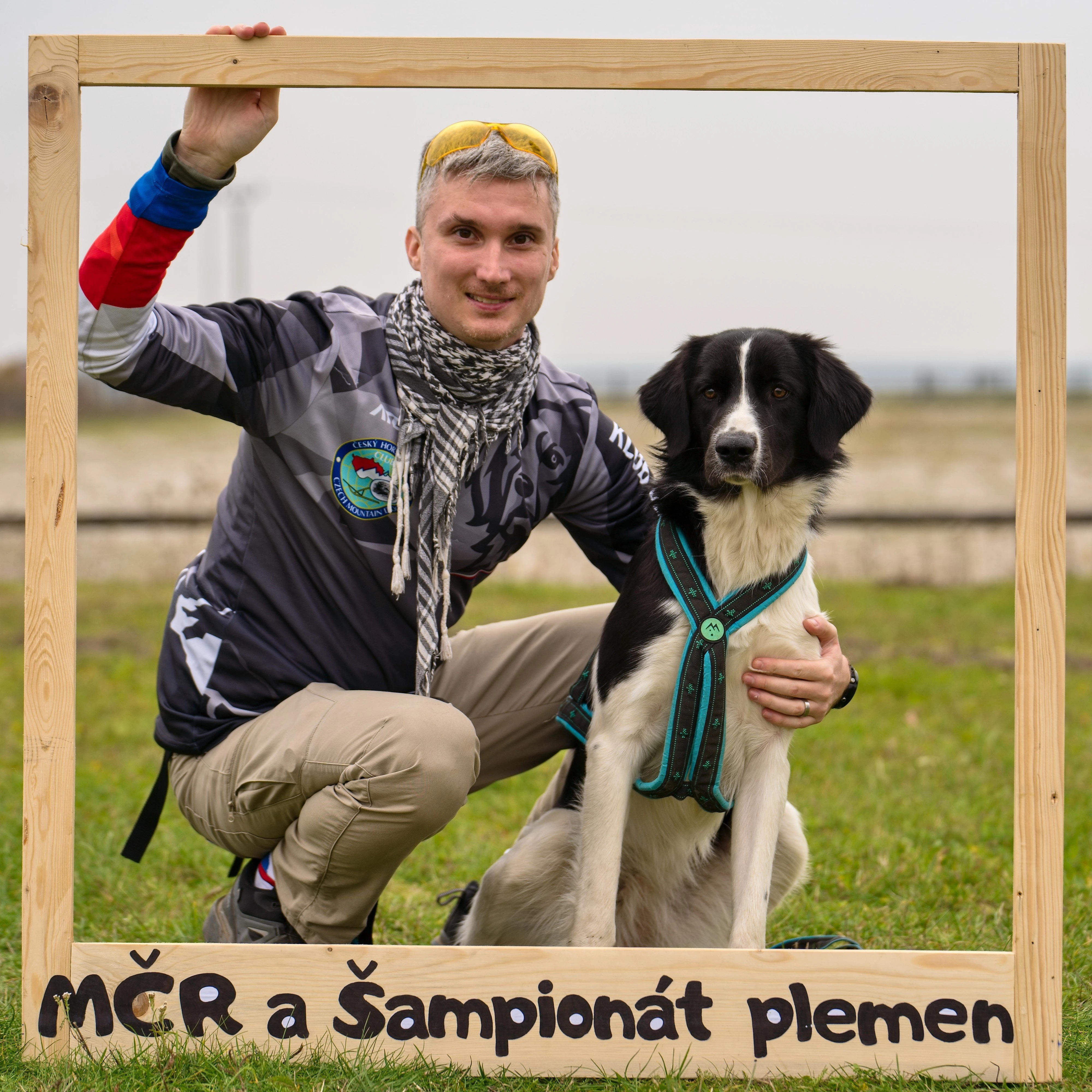 Český horský pes - spojení černá fena a žlutý (hnědý) pes