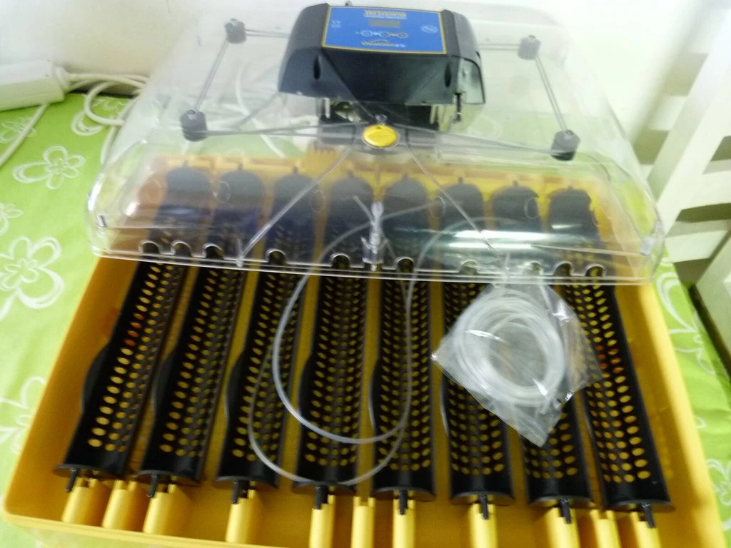 Líheň Brinsea 56 ex