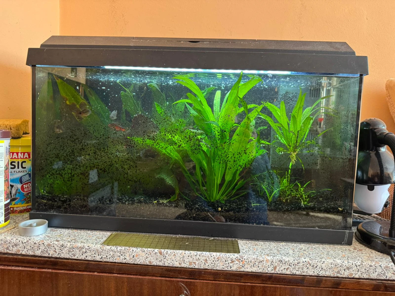 Komplet akvárium 70 l