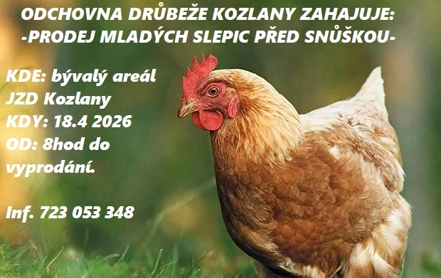 Odchovna drůbeže kozlany zahajuje prodej